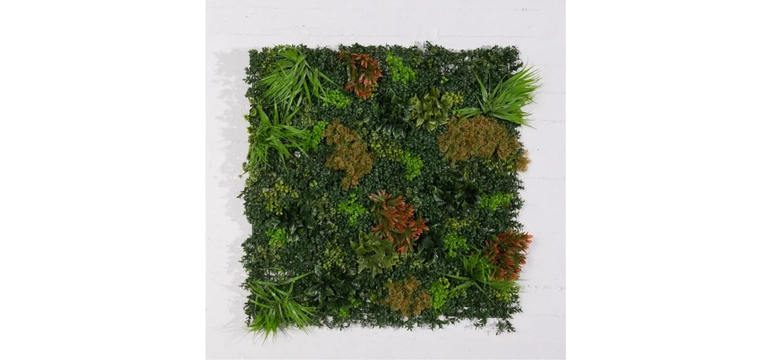 Zeleni zid - šimšir sa mahovinom "Giardino" 100x100cm