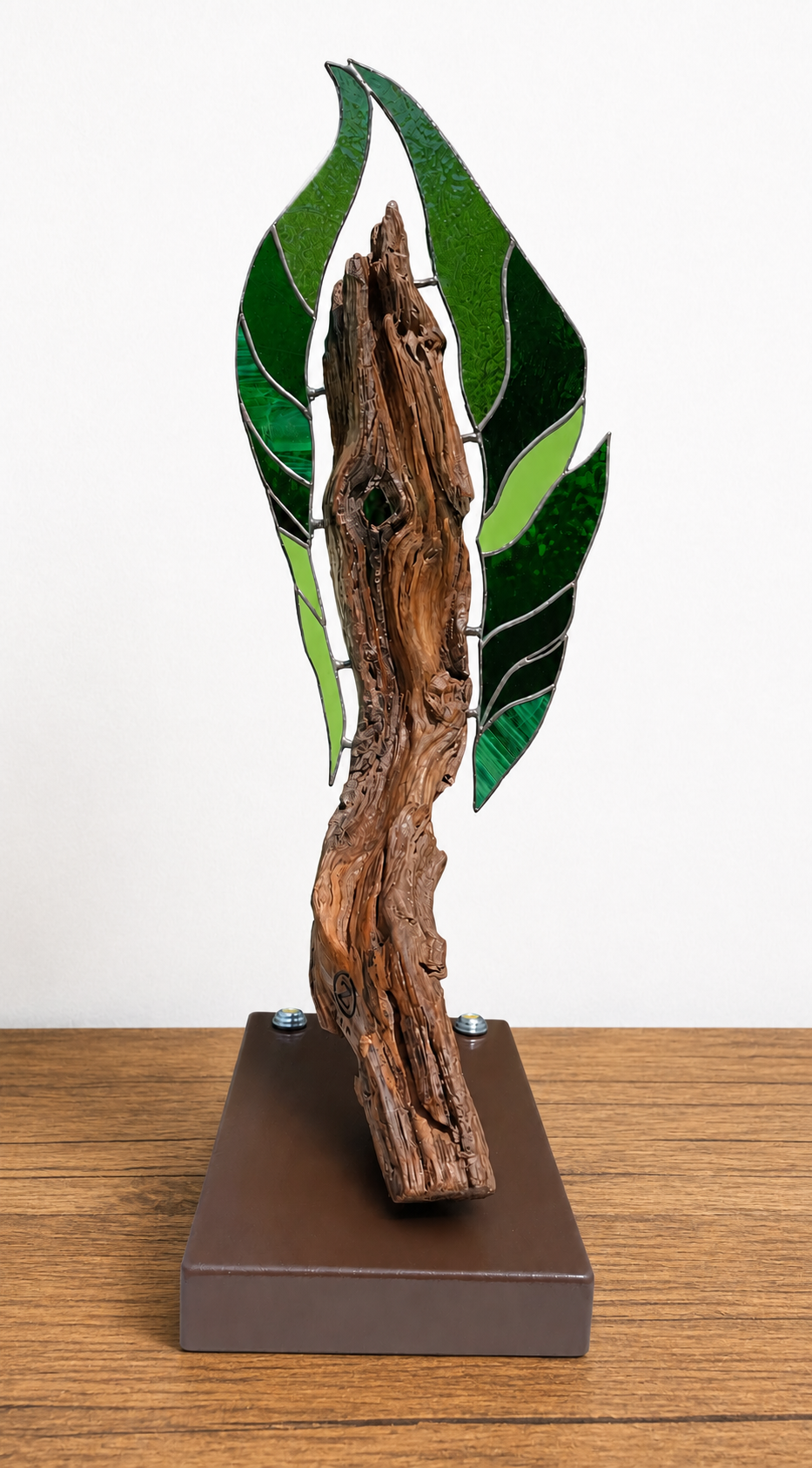 Turaco Verde N°010