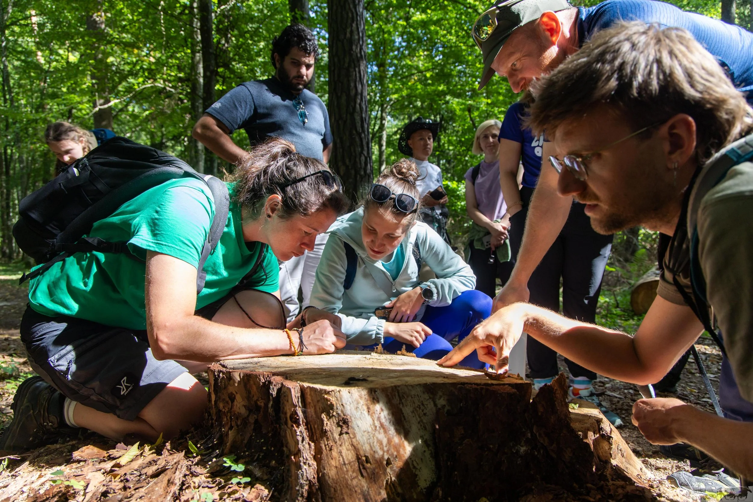 Welcome to the first OUTnature newsletter!