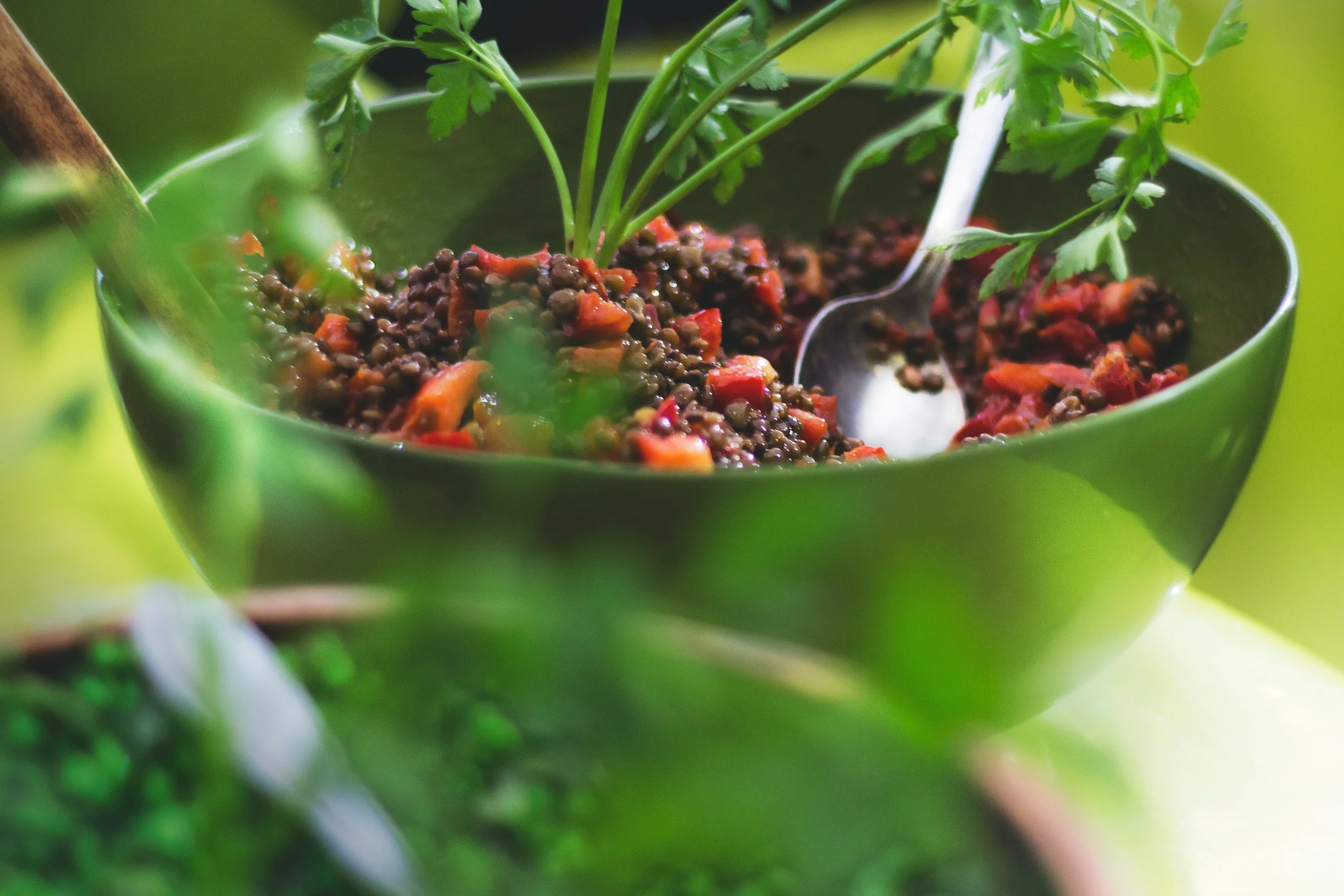 Photo Cred: James Sutton - https://unsplash.com/photos/9v1GTGqz1f8