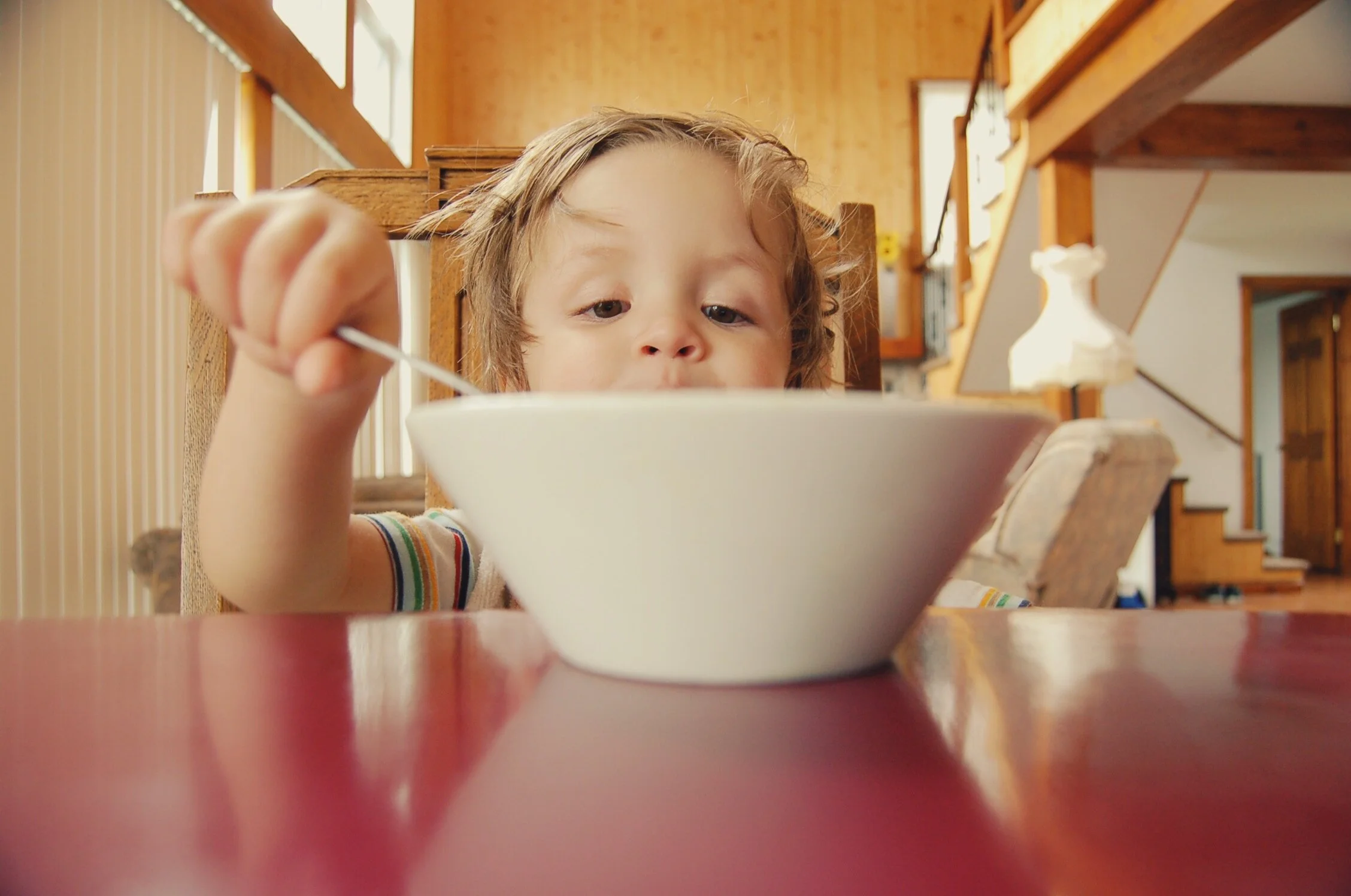 Recipe ideas for fussy kids
