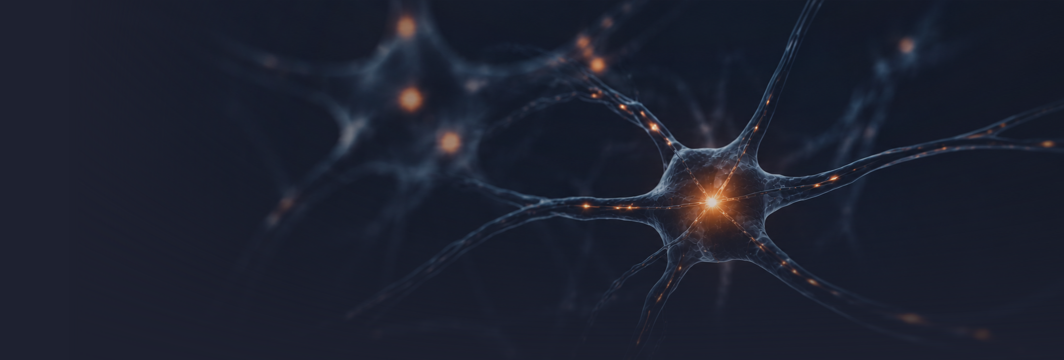 Interconnected neural pathways representing culture, behaviour and human connection.
