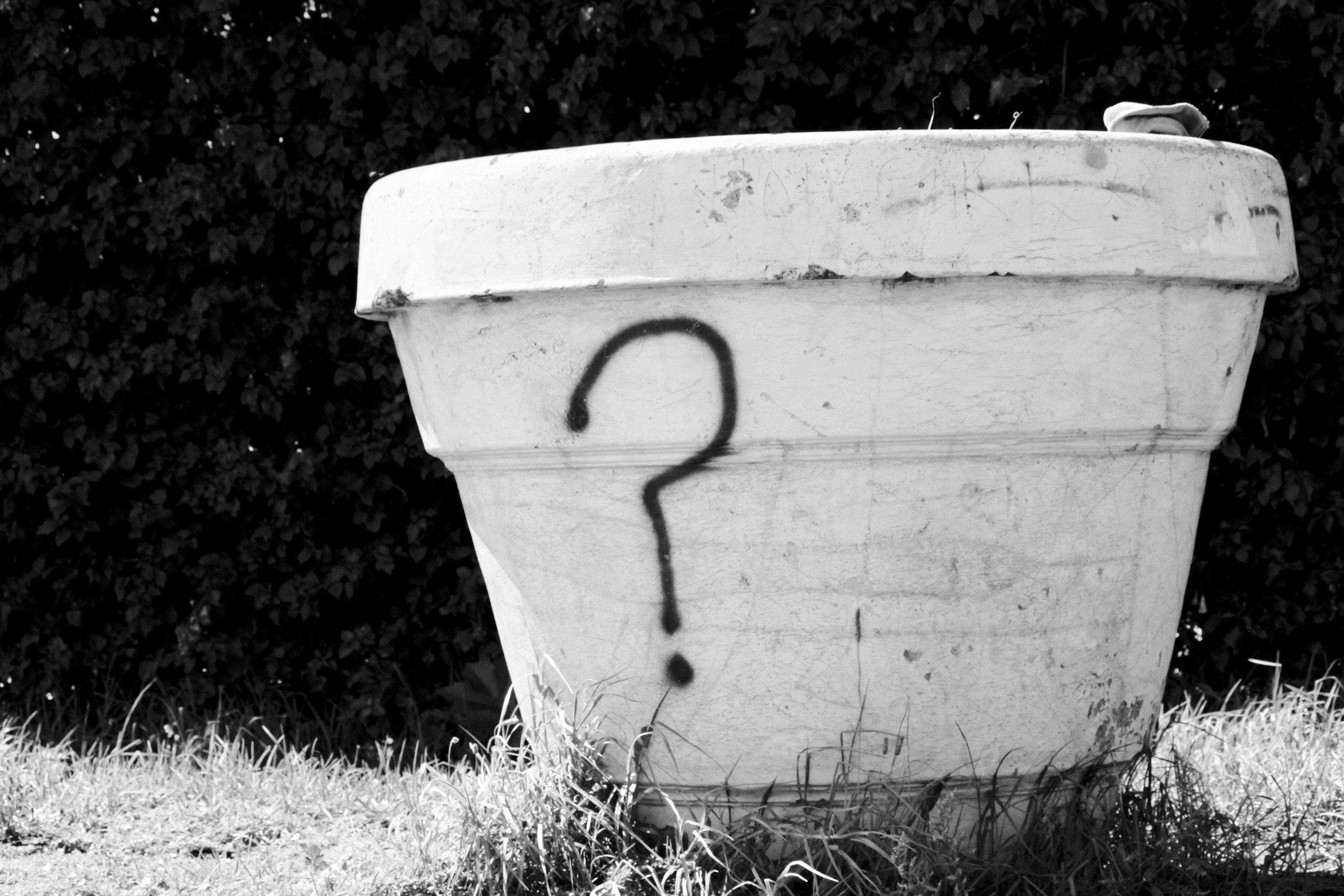 A white flowerpot with a question mark drawn on the side, standing on a grassy area, with leafy bushes in the background.