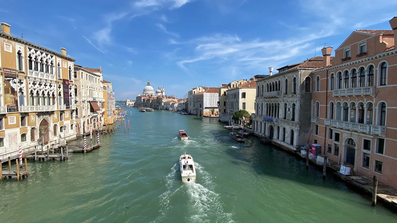 IMG_6395.JPEG