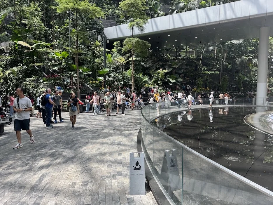 IMG_3622.jpeg
