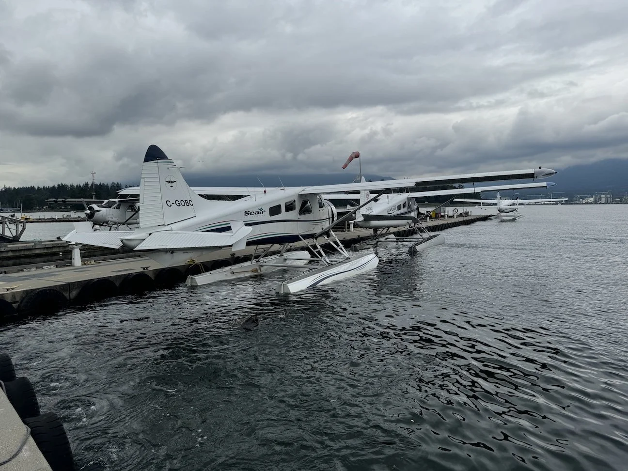 IMG_0319.jpeg