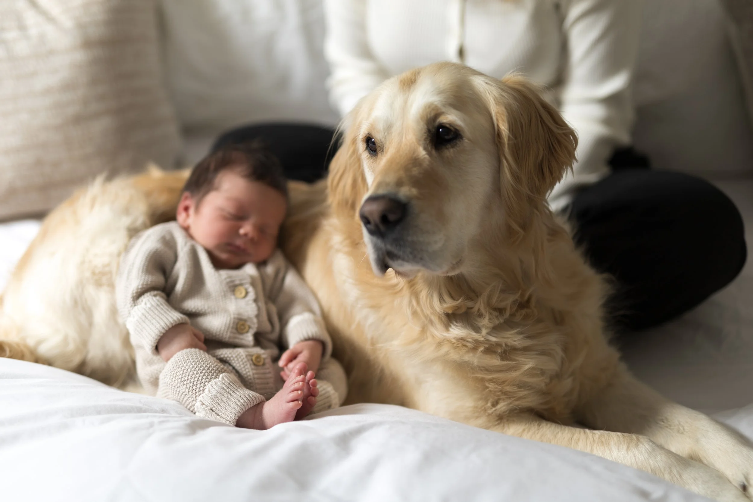 family-photographer-at home-photoshoot-cheshire