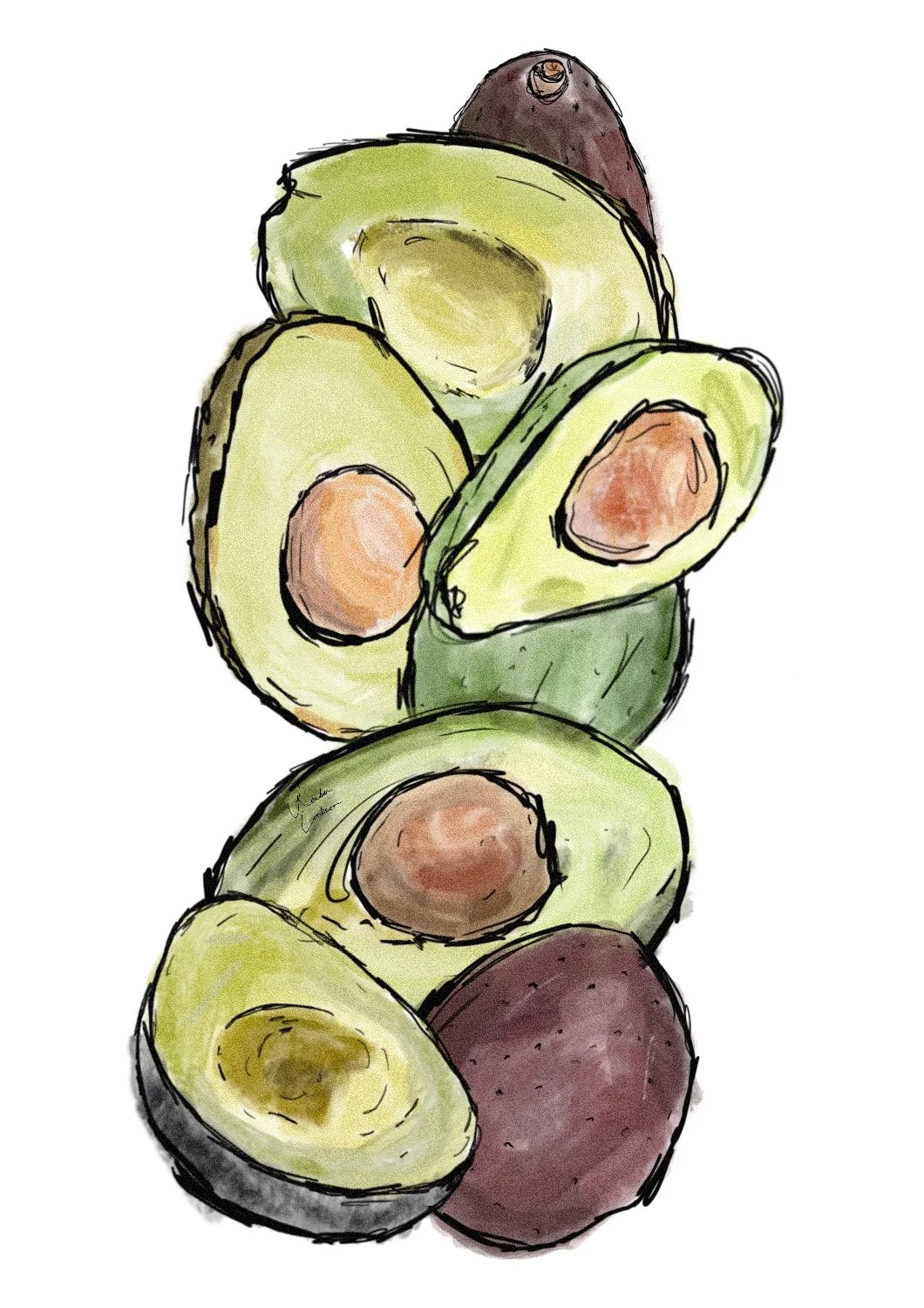 A4_Avos.jpg