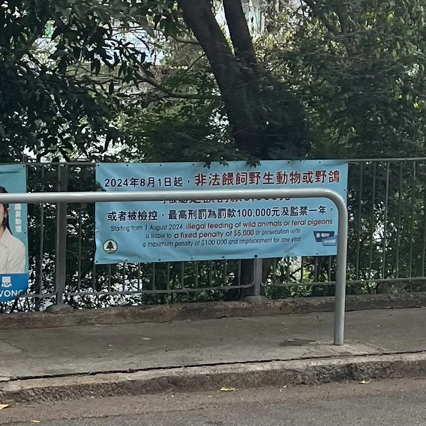 A sign warning against illegal feeding of wild animals or feral pigeons, with penalties including a fine of $5,000 and up to one year of imprisonment, effective from August 1, 2024.