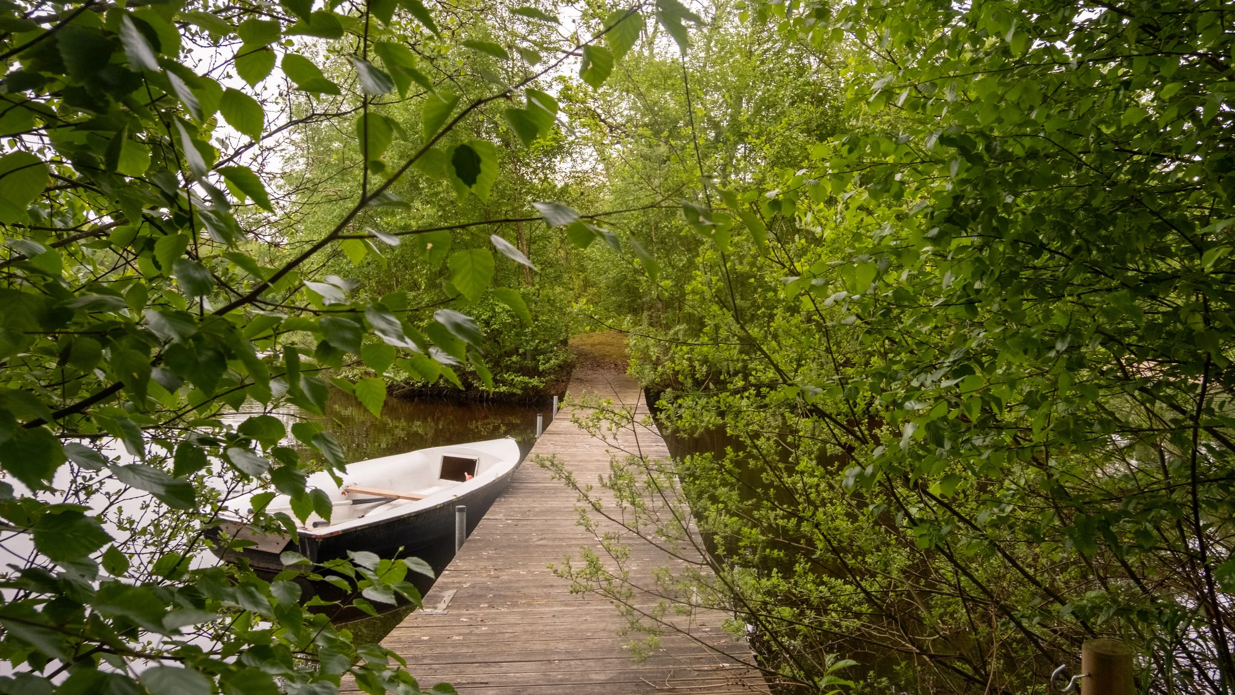 A small boat docked at a wooden pier surrounded by lush green trees on a cloudy day.