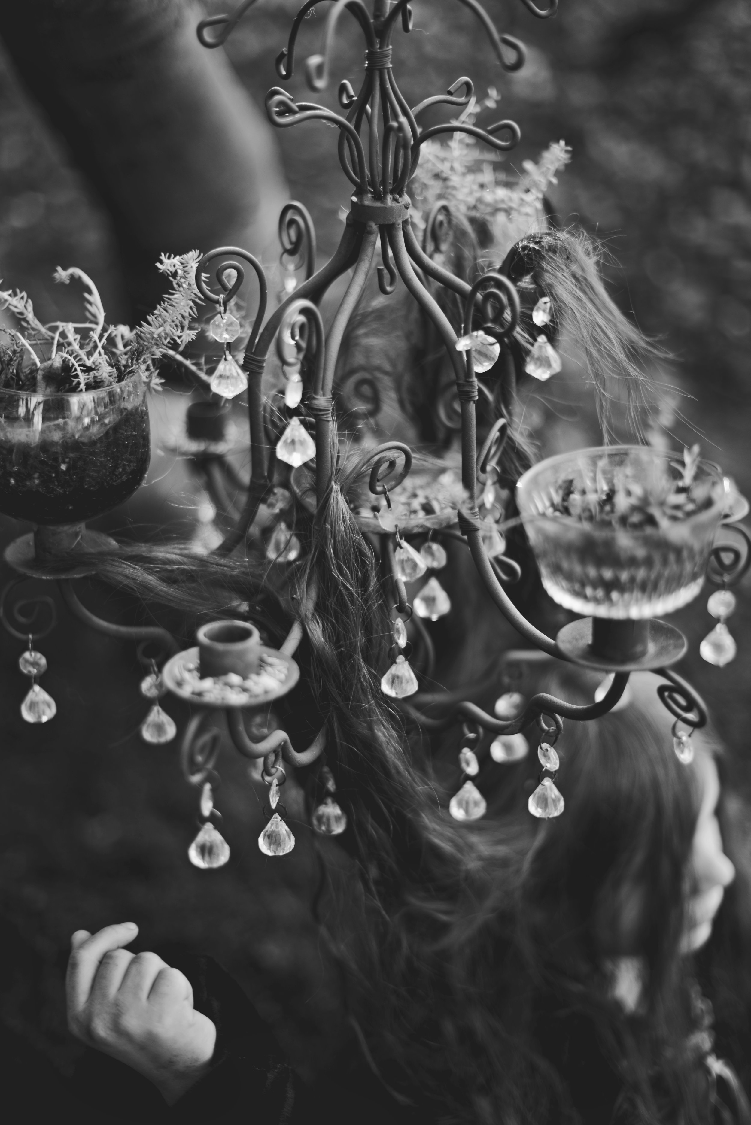 A child reaching out towards a decorative chandelier with hanging crystals, surrounding potted plants, and a blurred background.