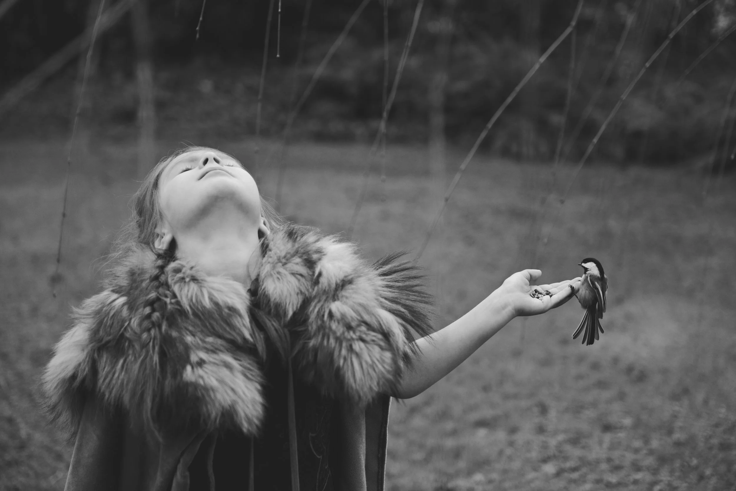 A person with long hair wearing a fur coat holding a small bird in their outstretched hand, with rain falling in the background.