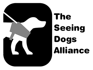 Dog wearing a harness with a leash attached, standing on a plain black background.