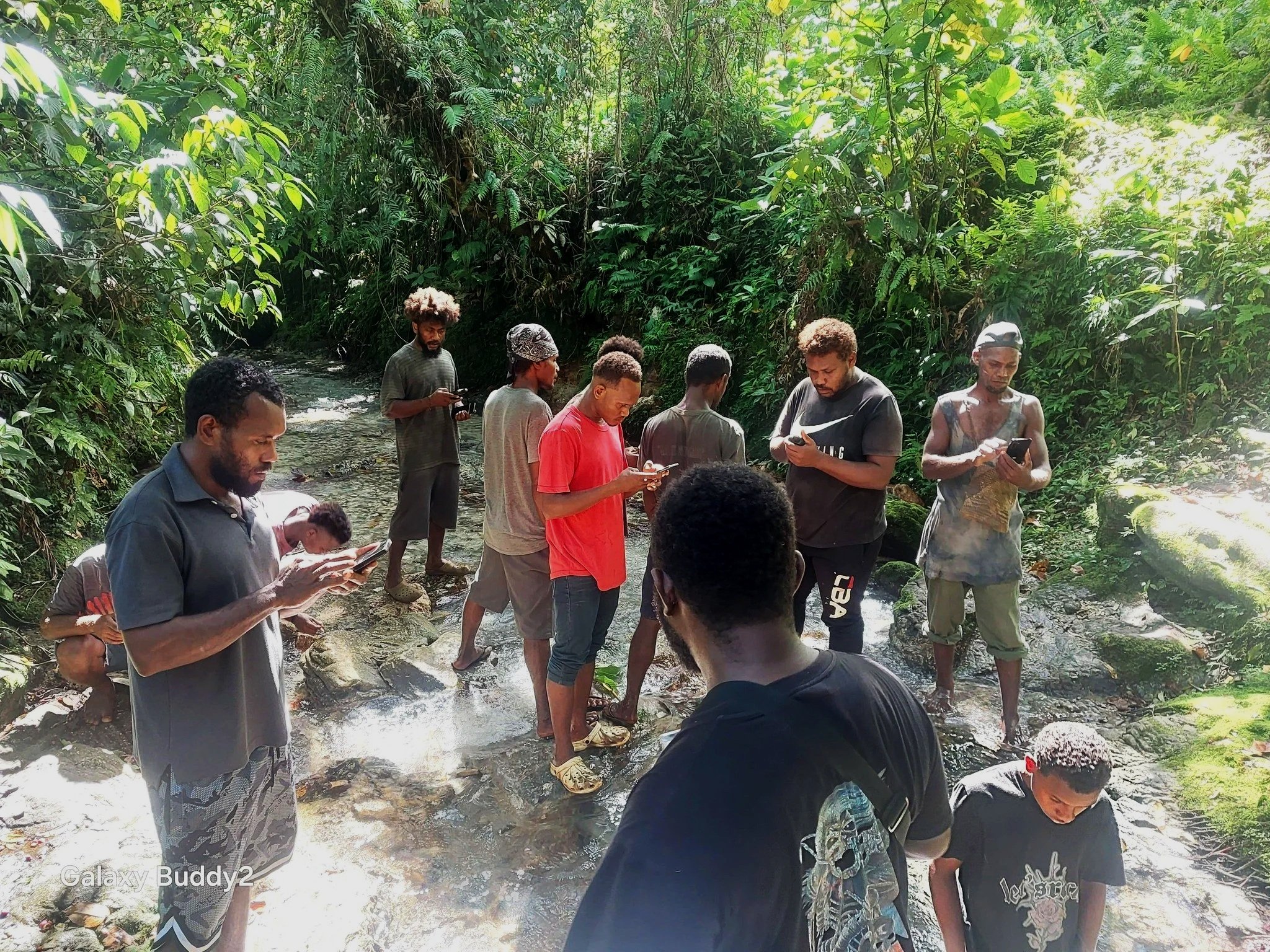 Exchange of Knowledge and Experience in Conservation
