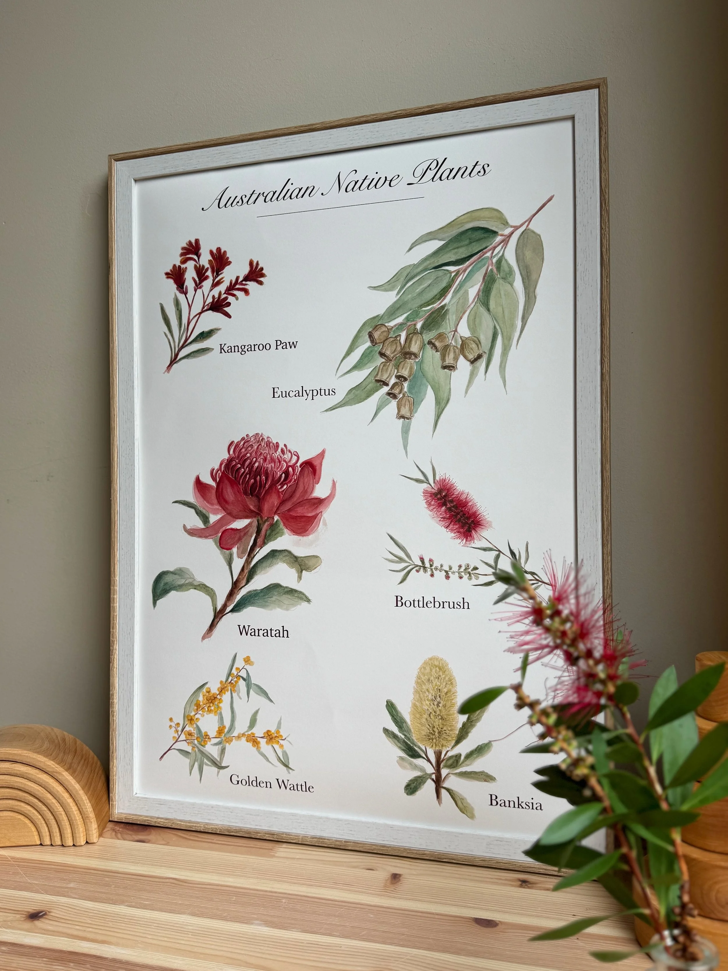 A poster titled 'Australian Native Plants' with illustrations of various native Australian plants labeled as Kangaroo Paw, Eucalyptus, Waratah, Golden Wattle, Banksia, Bottlebrush, and some other plants. The poster is framed and displayed on a wooden surface with some flowers in the foreground.