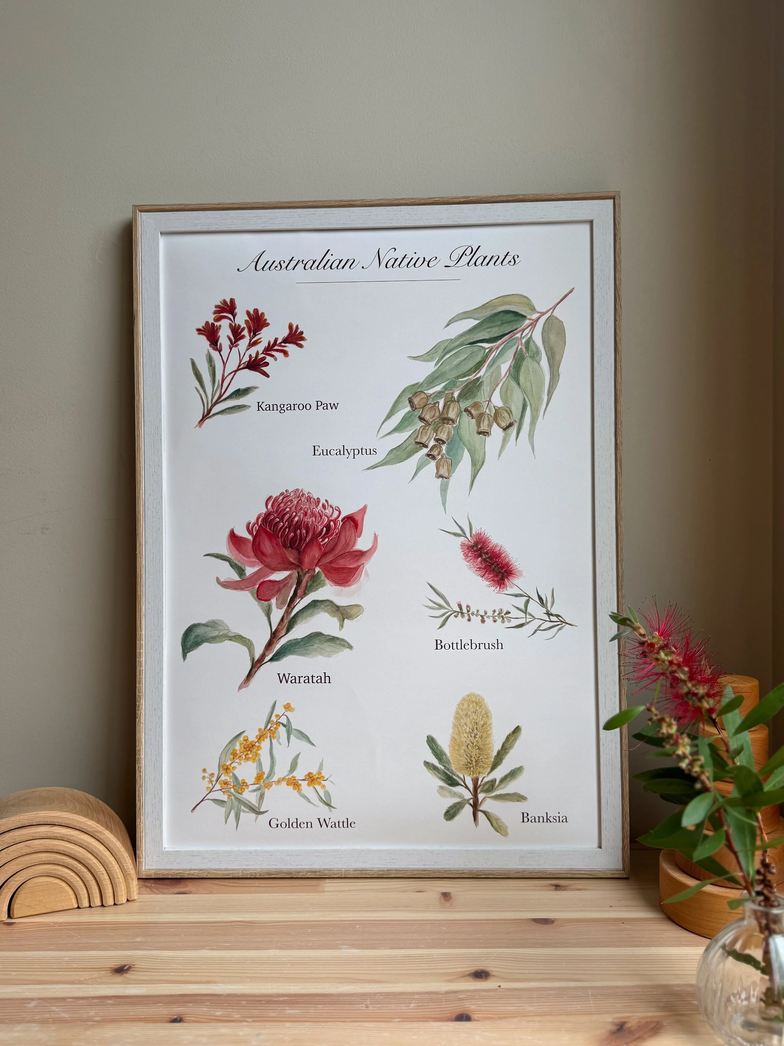 A botanical poster titled 'Australian Native Plants' displaying illustrations of various Australian plants with their names, such as Kangaroo Paw, Eucalyptus, Waratah, Bottlebrush, Golden Wattle, and Banksia, placed on a light wooden surface next to a plant in a clear vase.
