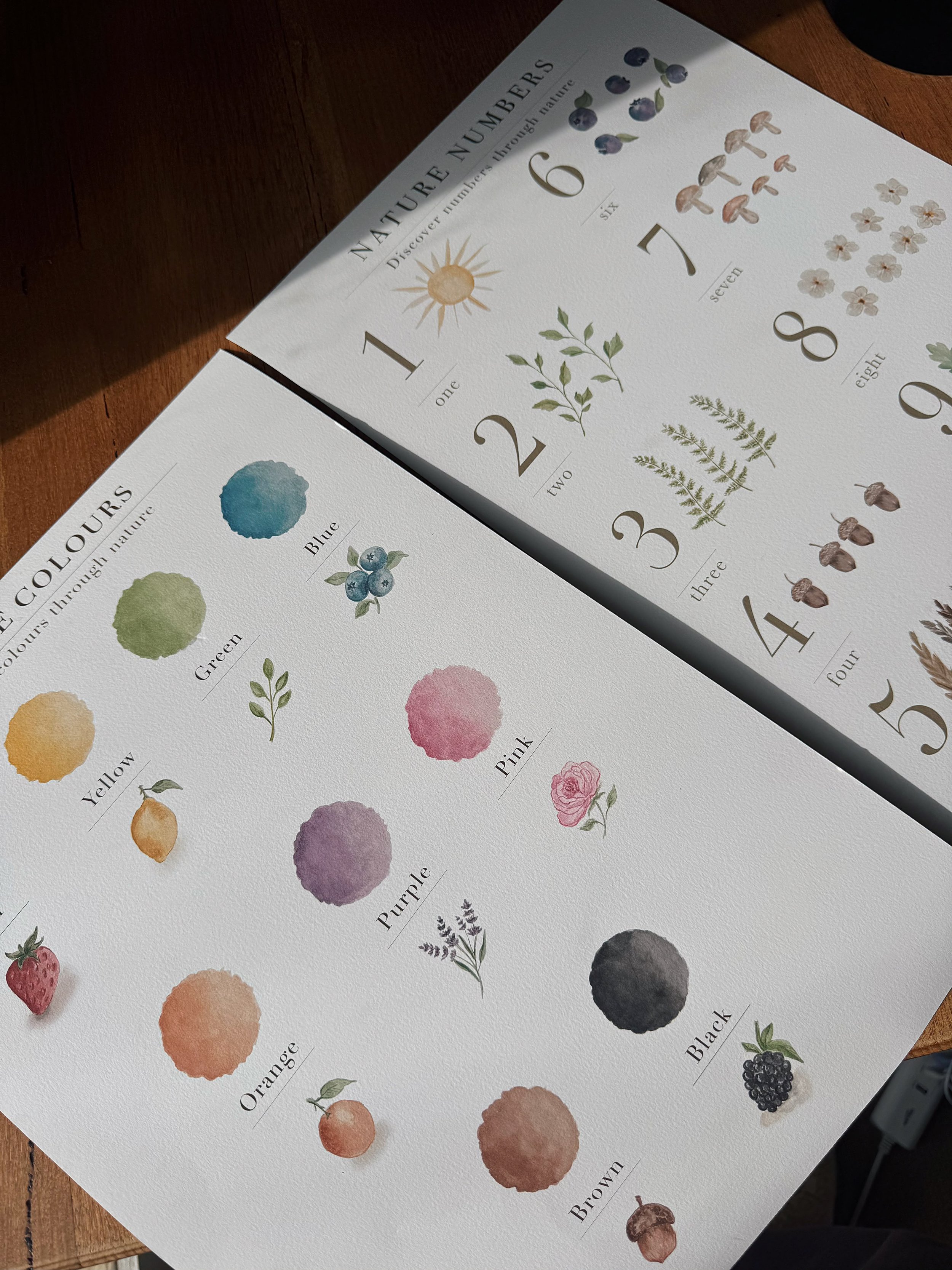 Nature Colours & Nature Numbers BUNDLE