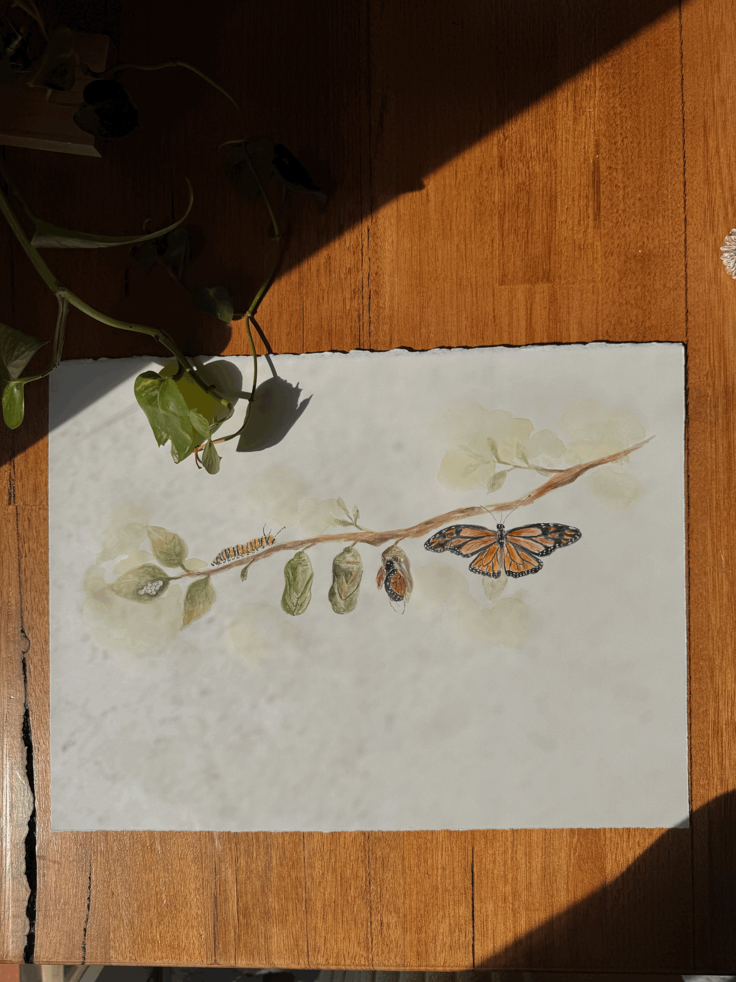 An Original Watercolour