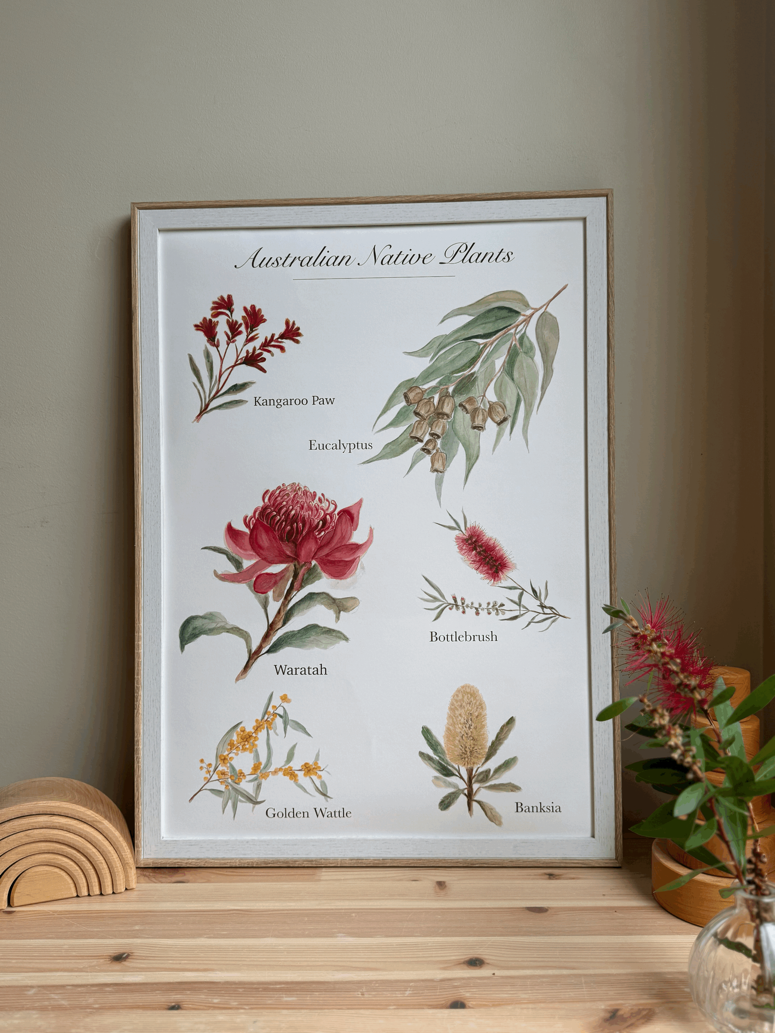 Australian Native Plants