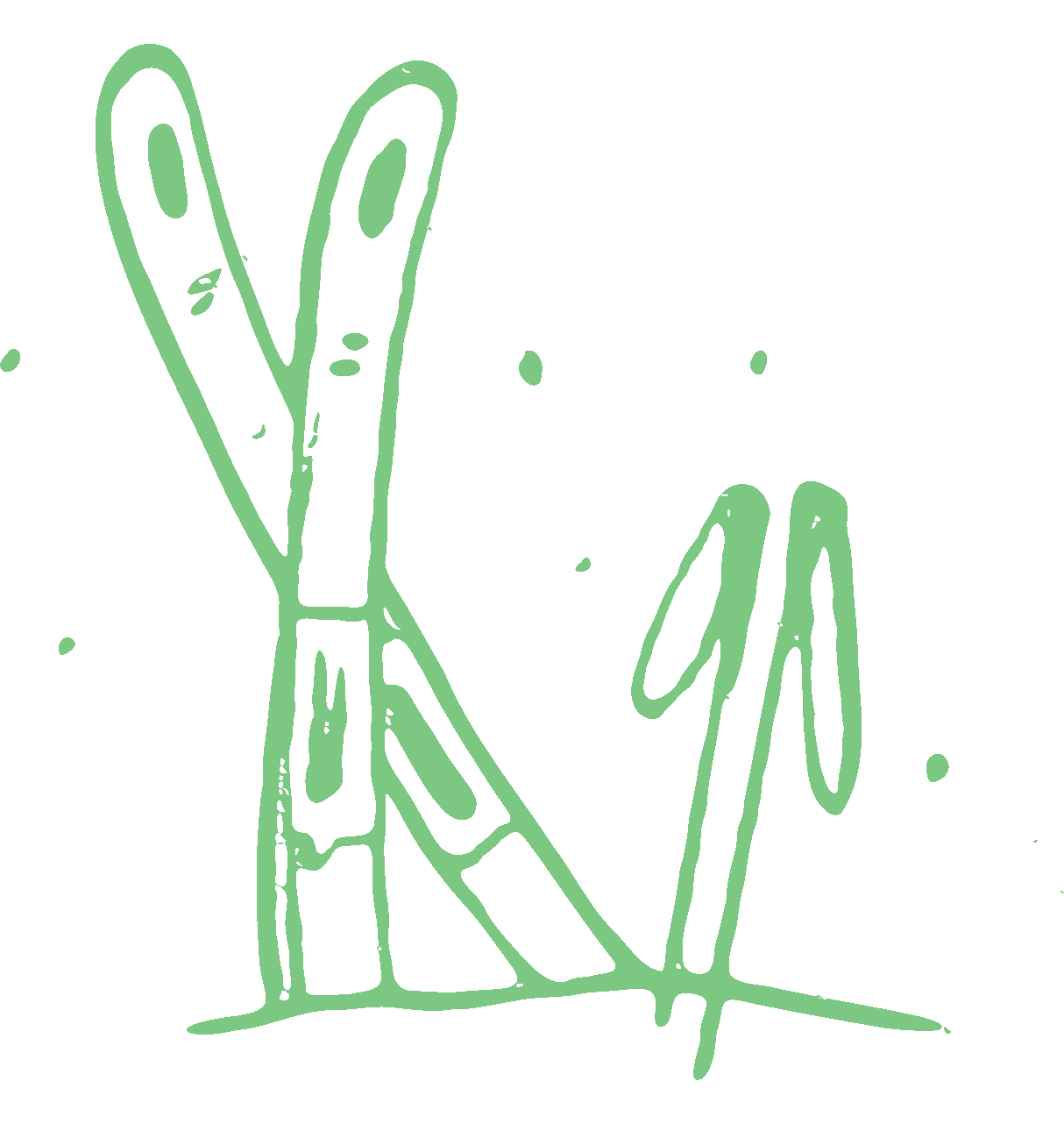 A stylized green line drawing of a bamboo stalk with leaves on a black background, with small scattered dots around it.