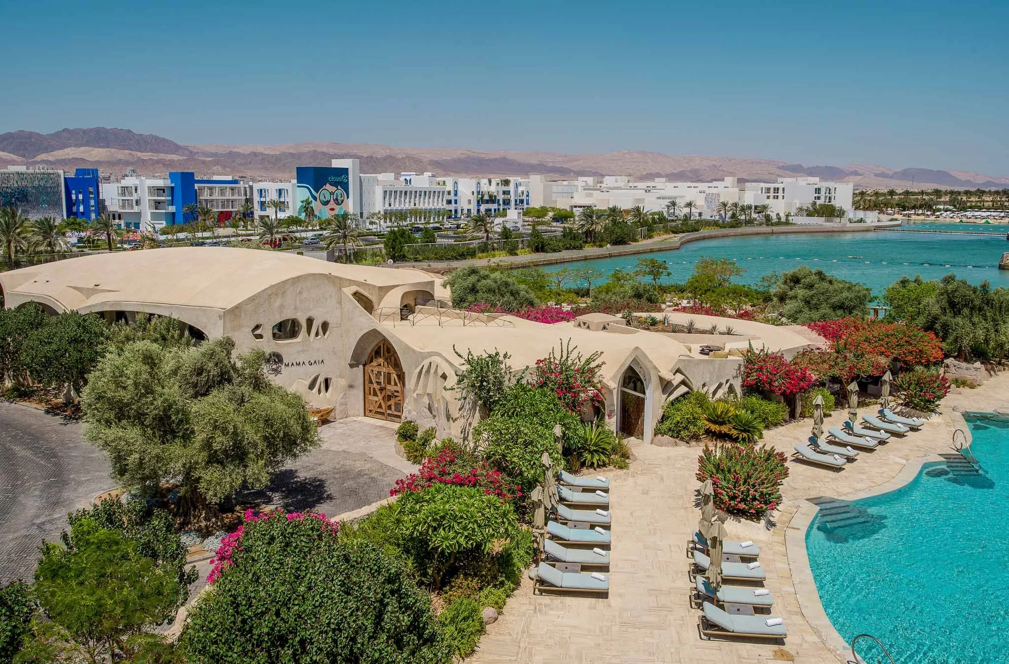 Aqaba  Activities-15.jpg