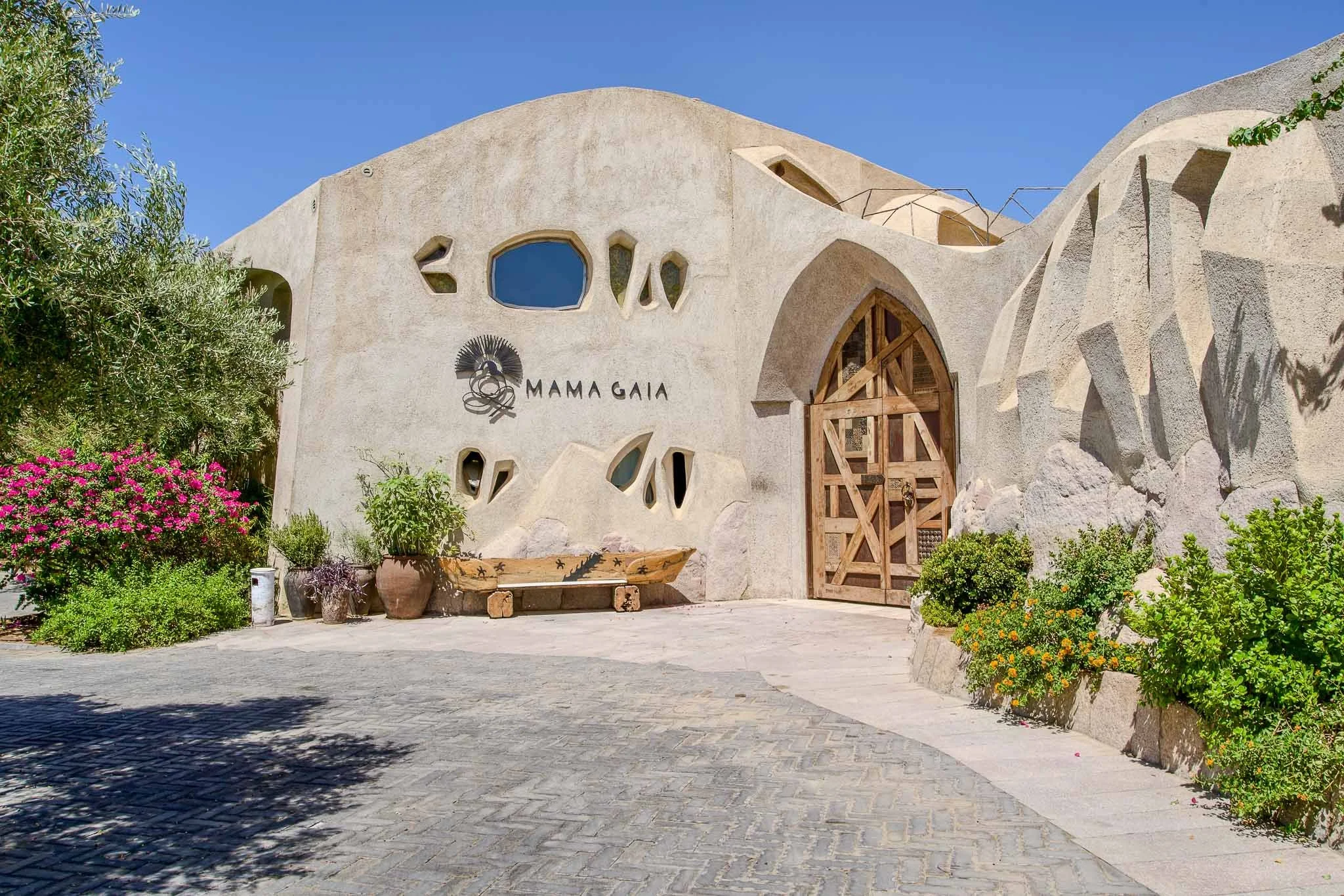 Aqaba  Activities-17.jpg