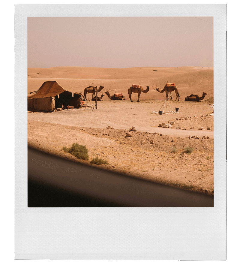 Desert scene with several camels, a small tent, and a few scattered objects under a clear sky.