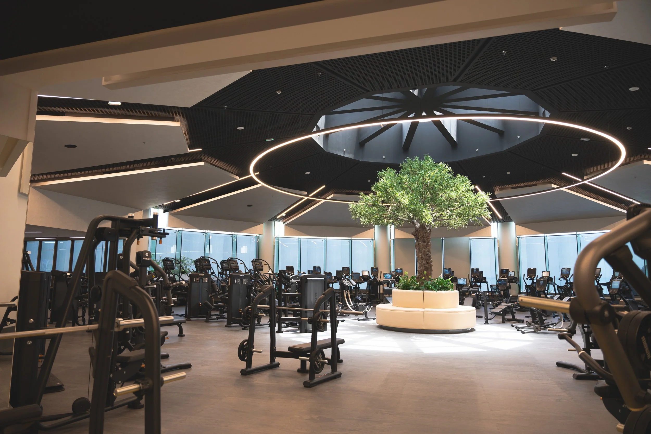 Modern fitness center with exercise machines, a large indoor tree, and unique circular lighting fixtures hanging from the ceiling.