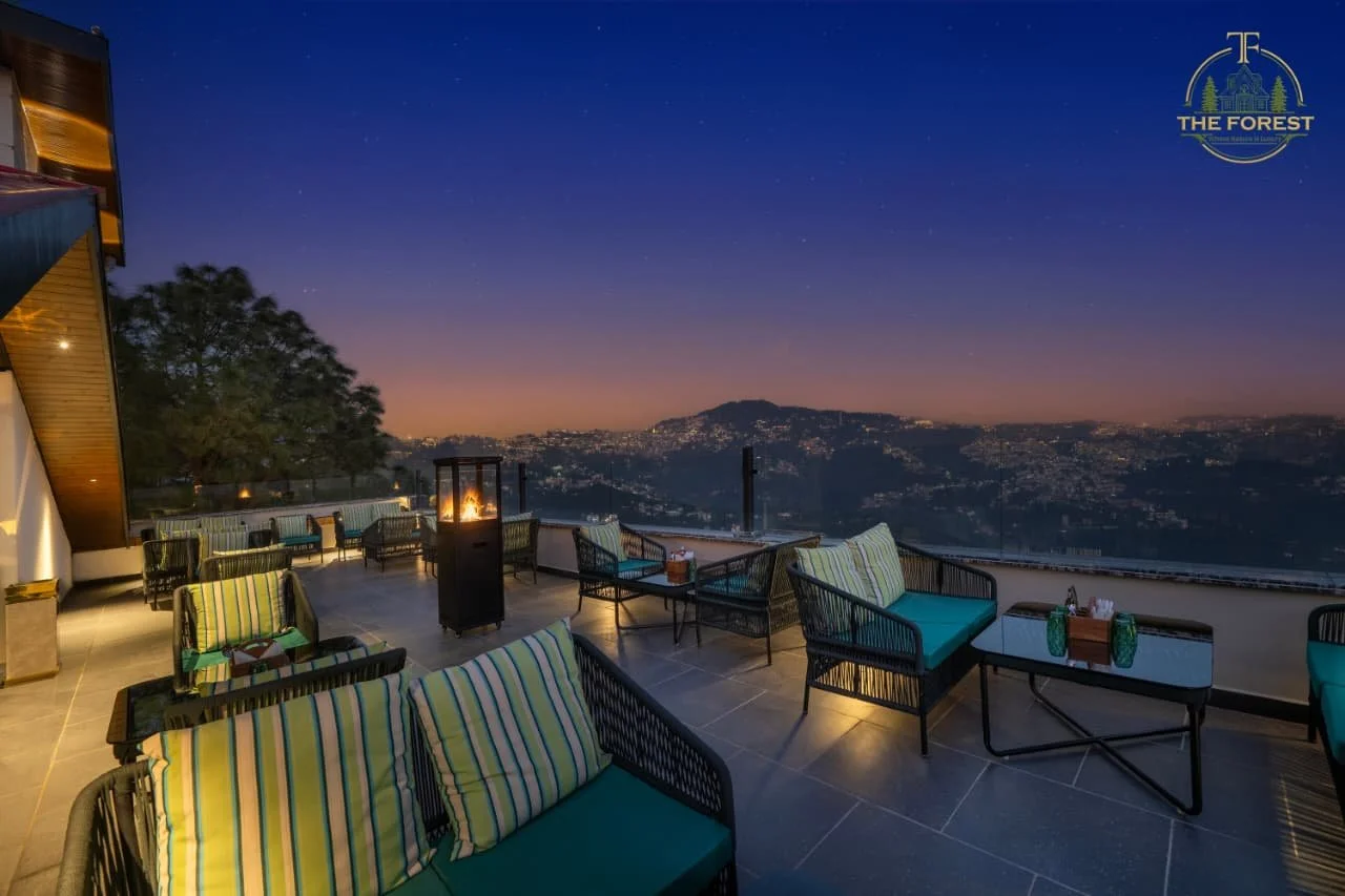Nighttime view from a rooftop terrace with outdoor furniture, a fire pit, and a cityscape in the distance under a starry sky.