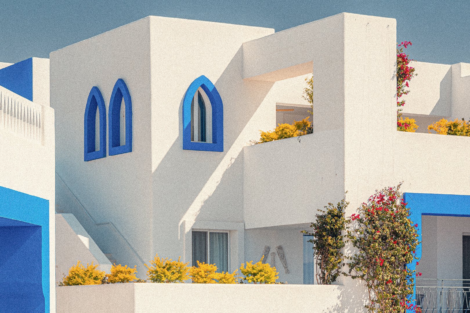 Modern white building in Greece with blue trim and arched windows, surrounded by yellow and pink flowering bushes.