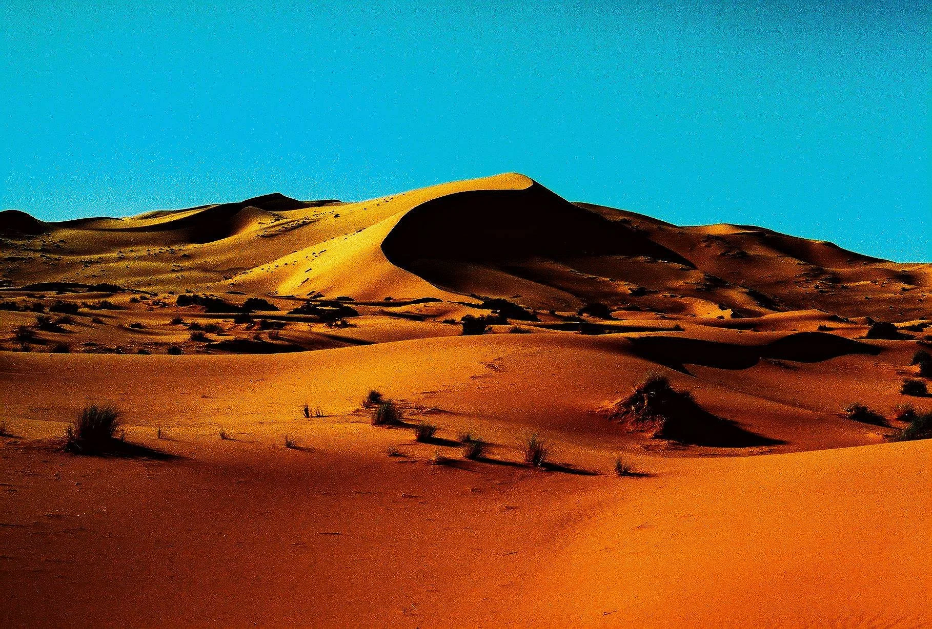 Desert