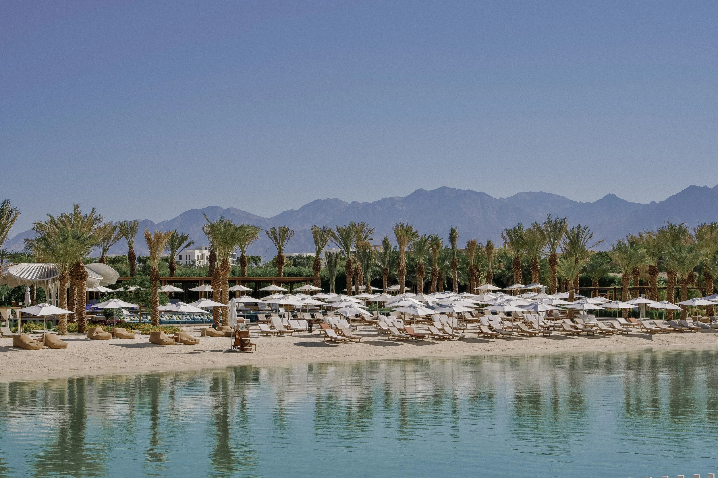 A desert landscape with a large swimming pool, surrounded by white lounge chairs and umbrellas. Tall palm trees line the area, and there are mountains in the background under a clear blue sky.