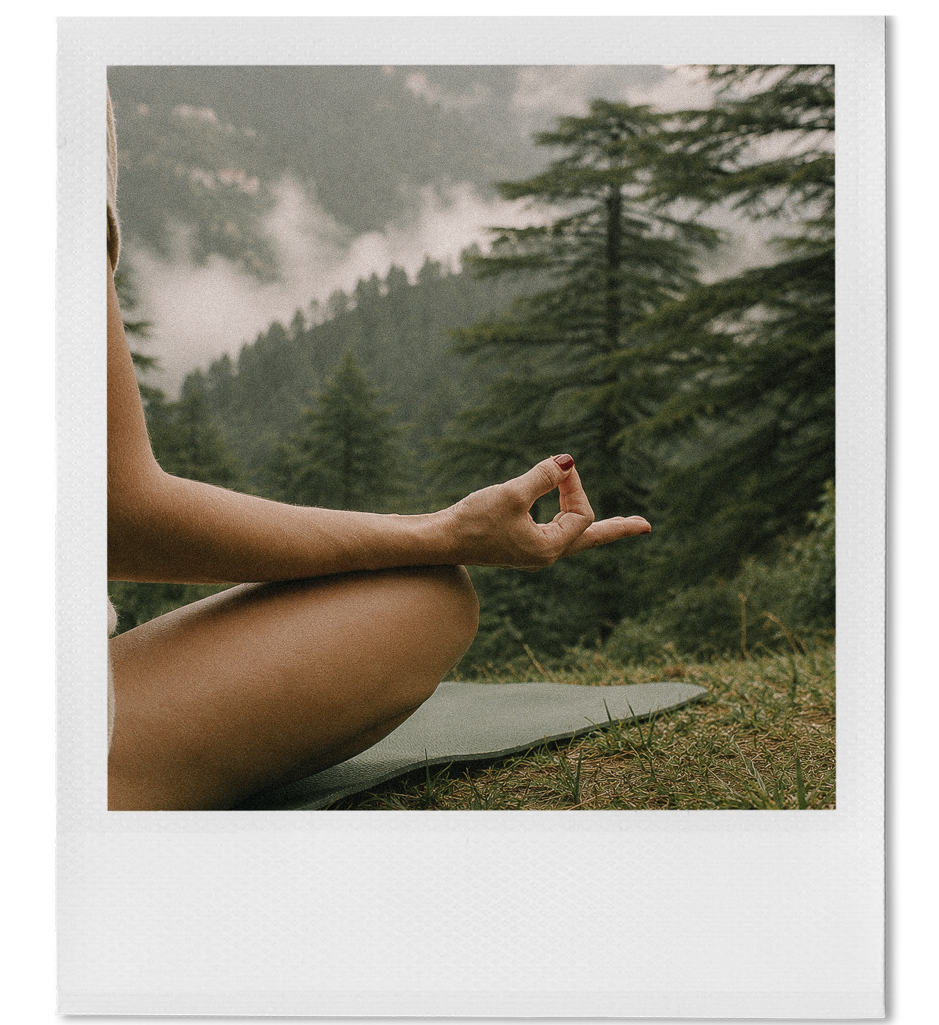 A person practicing yoga outdoors in a seated meditation pose, with one hand resting on their knee in a mudra gesture, surrounded by pine trees and a mountainous landscape.