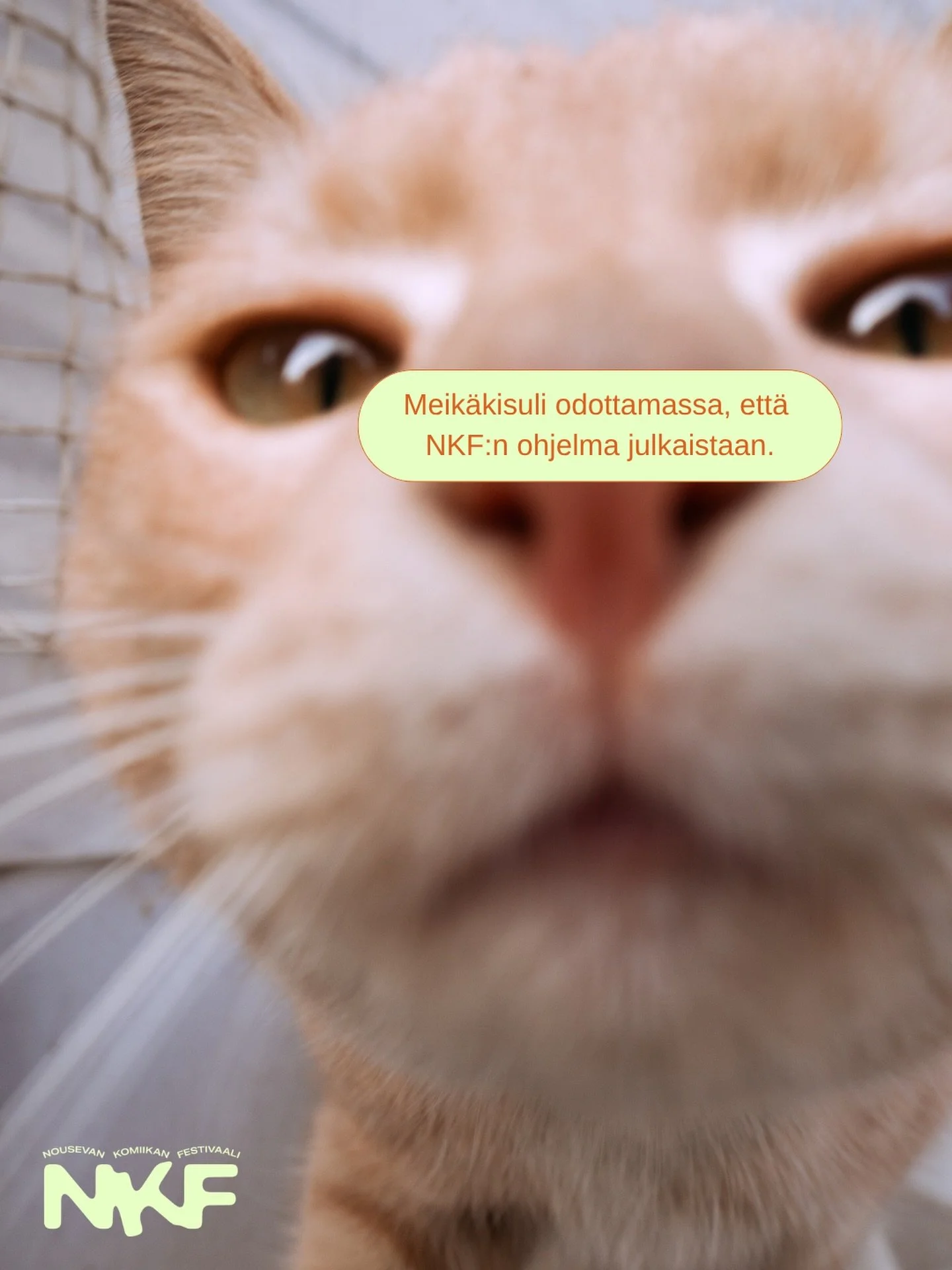 Odotus on pitk&auml; ja vaikee 🥺

#nkf2026