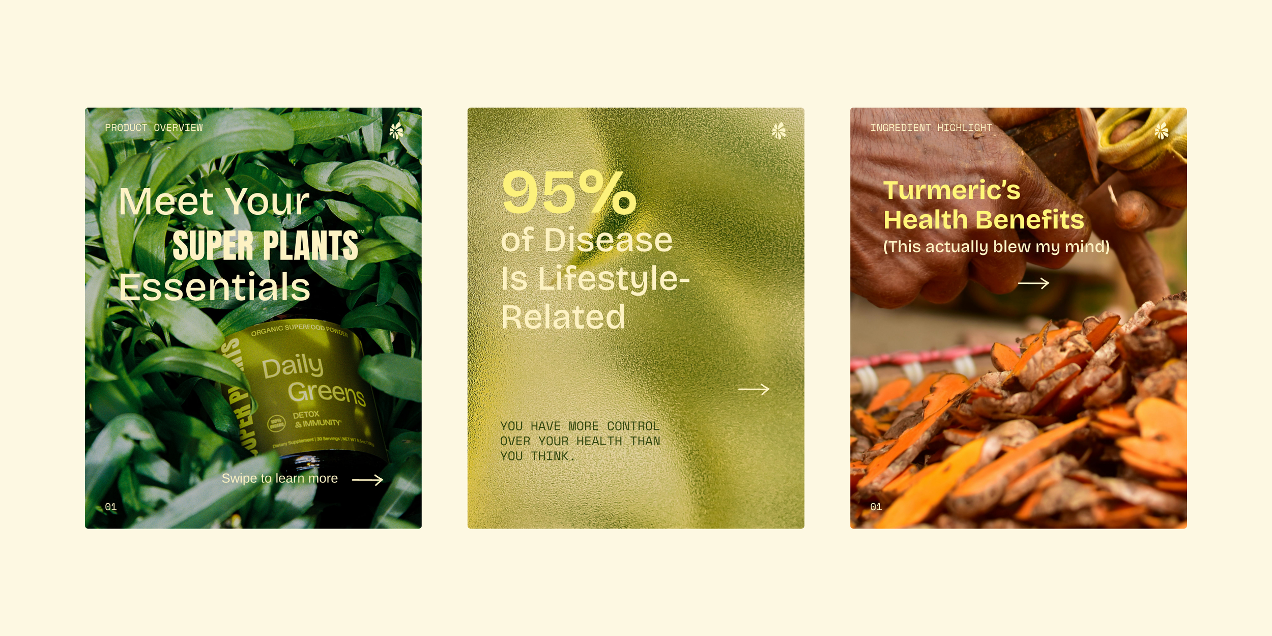 SuperPlants_Behance_12.png