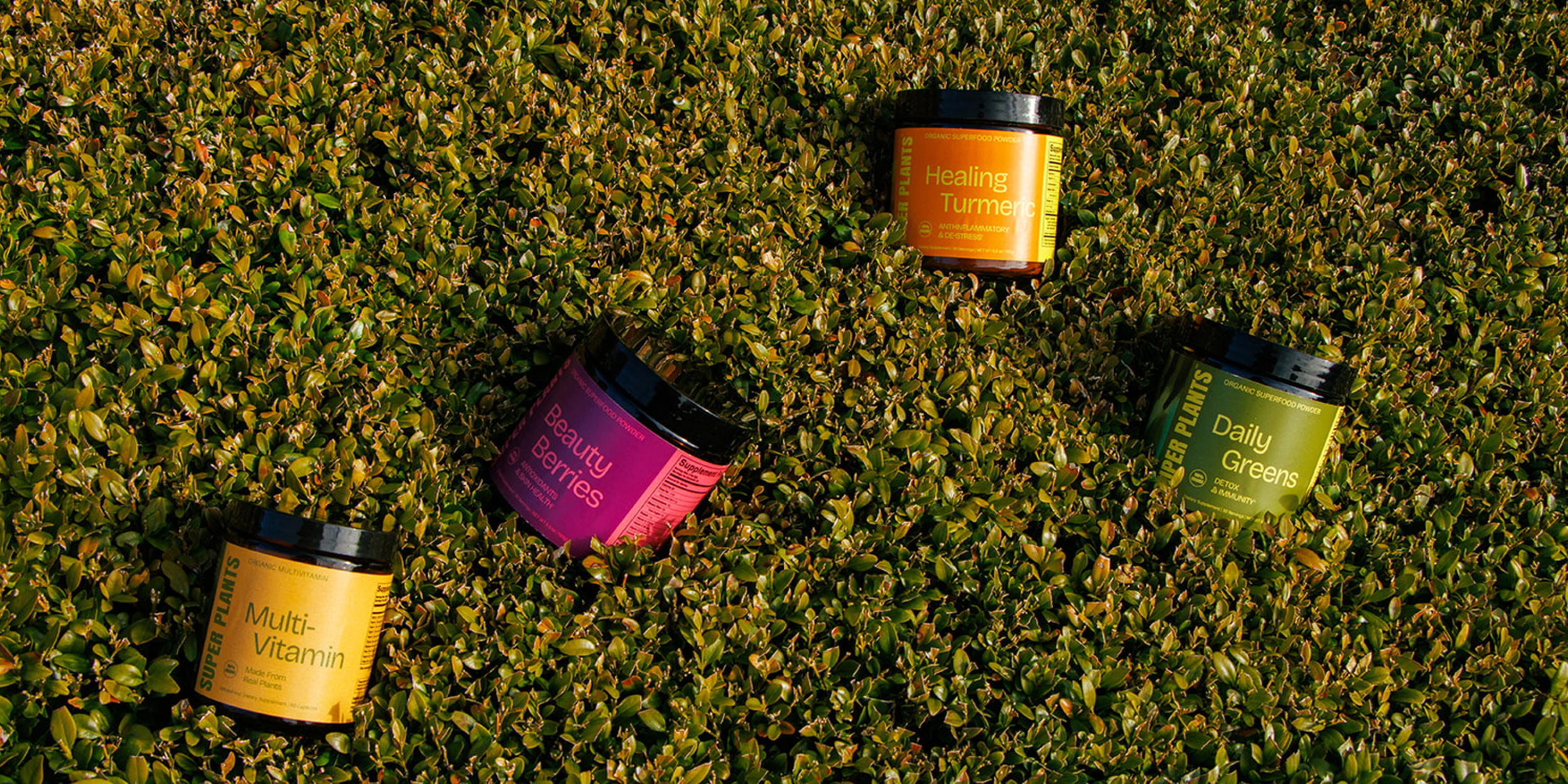 SuperPlants | Brand Identity Design