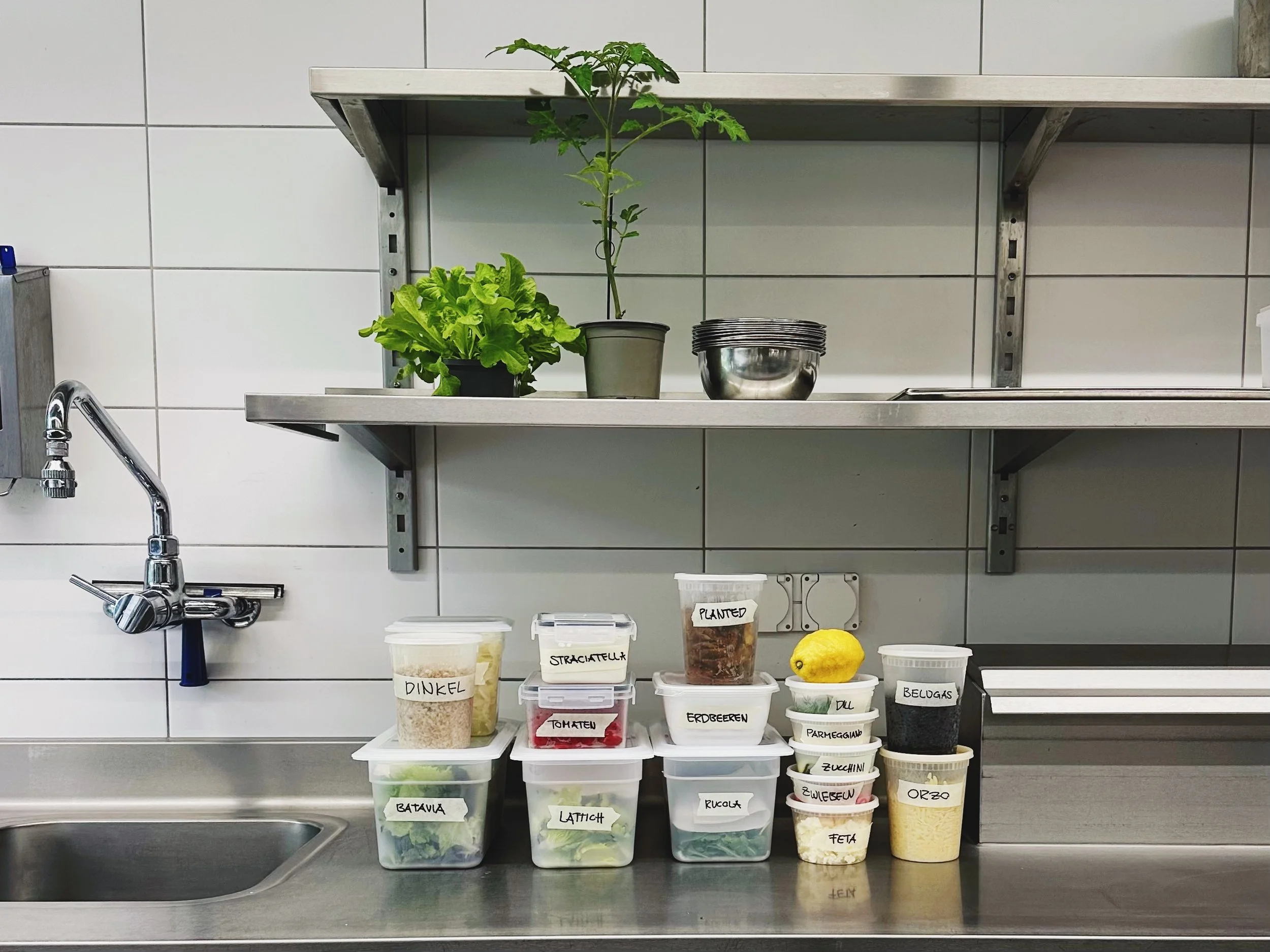 Bio Zutaten für Salat Bowls