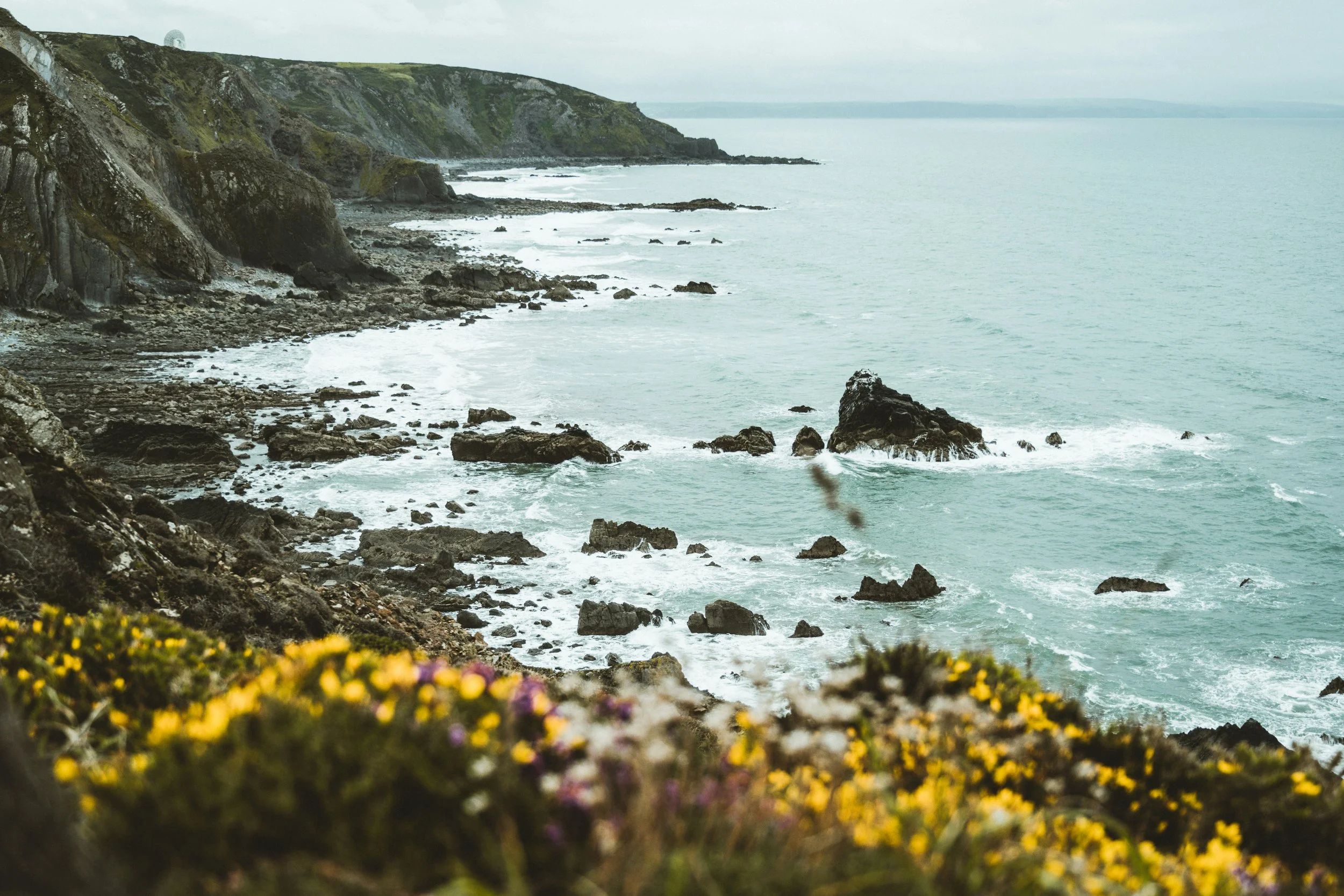 Rugged Cornish coastline with wildflowers, representing the grounded approach to therapy at Sawya Mind and Body
