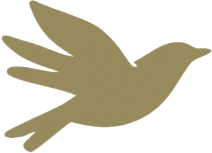 therapy focused on emotional wellbeing healing and psychological support