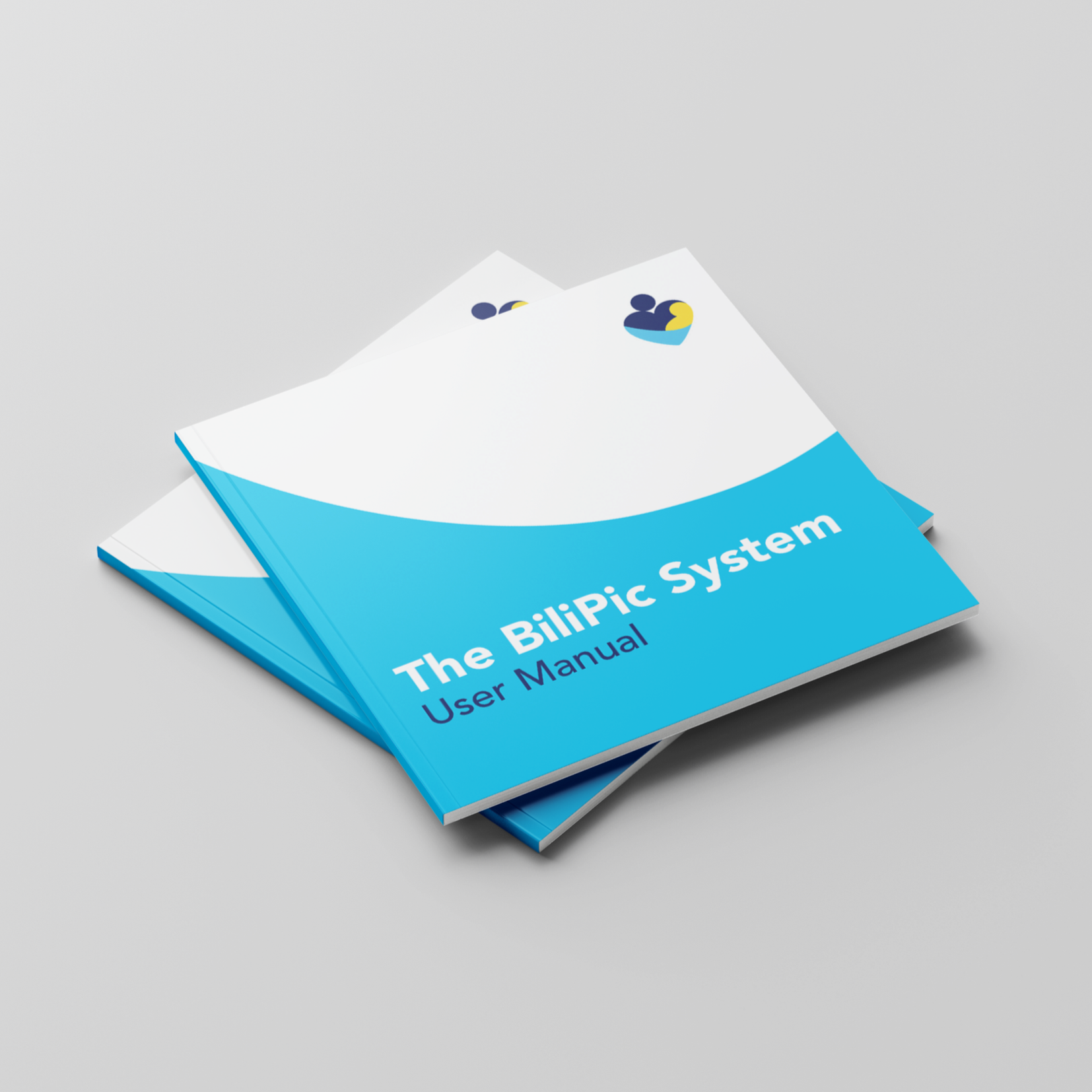 The BiliPic System