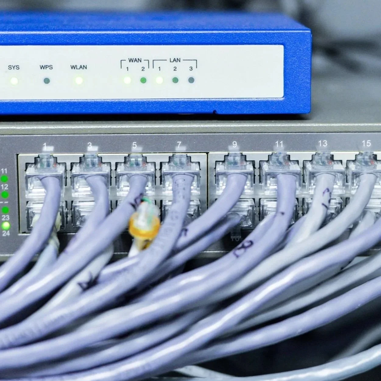 Netwerk apparatuur met Ethernet kabels aangesloten, inclusief een blauw netwerk switch en een patch panel.