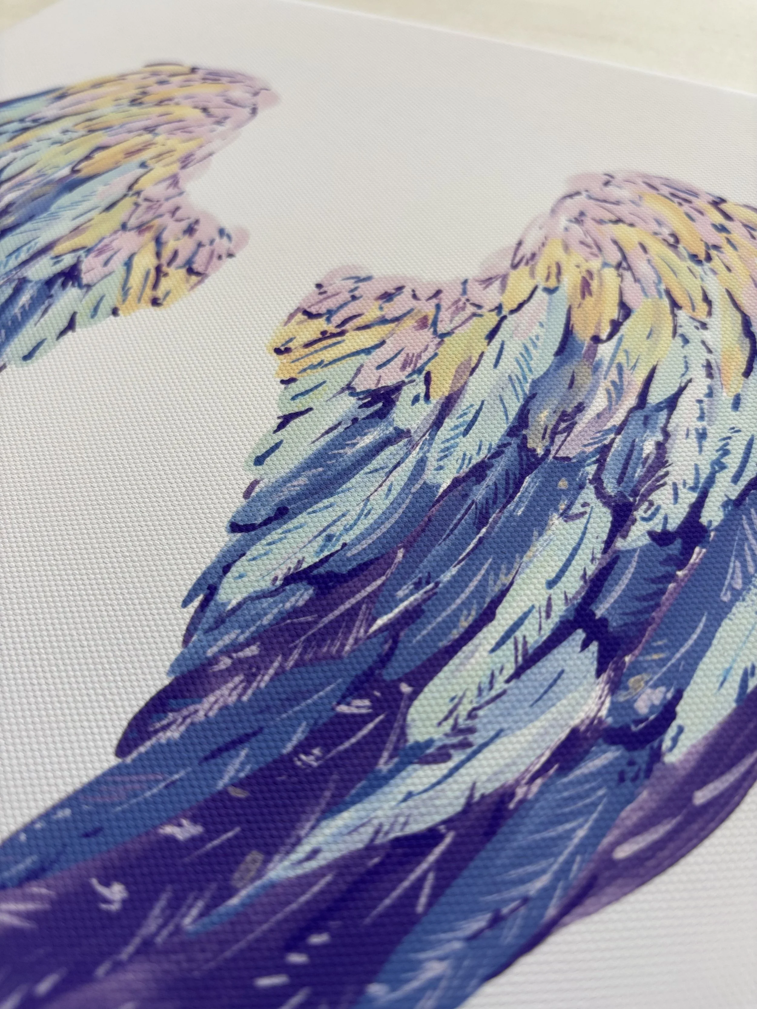 Close-up of colorful dinosaur feathers in shades of purple, yellow, blue, and pink.