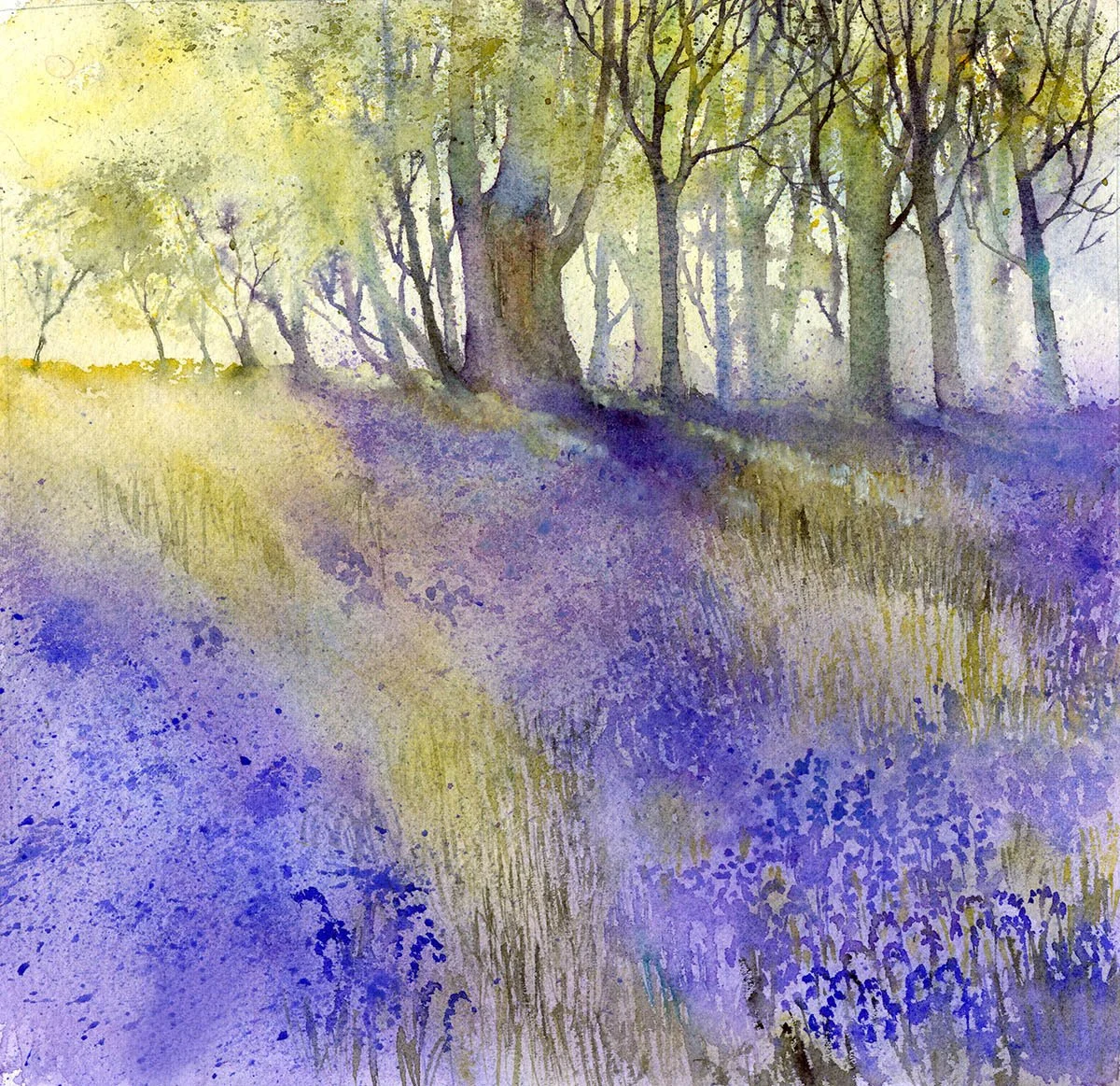 Bluebell woods RMN 301123.jpg