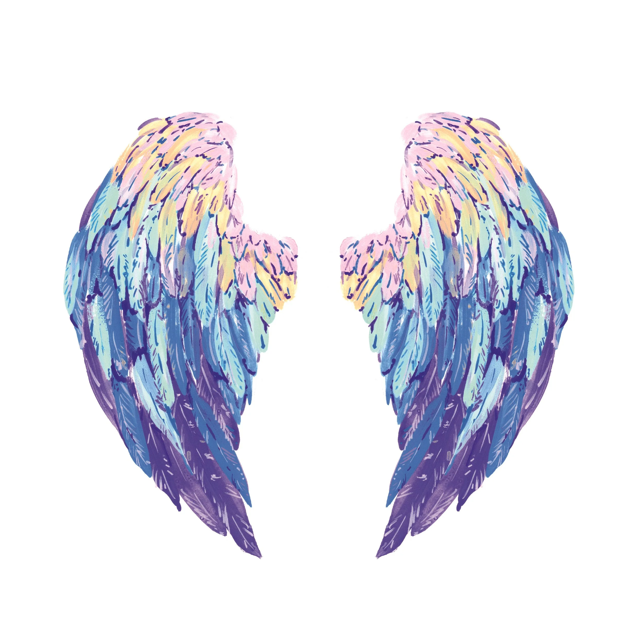 Ashes into Art 5 coloured fairy wings (1).jpg