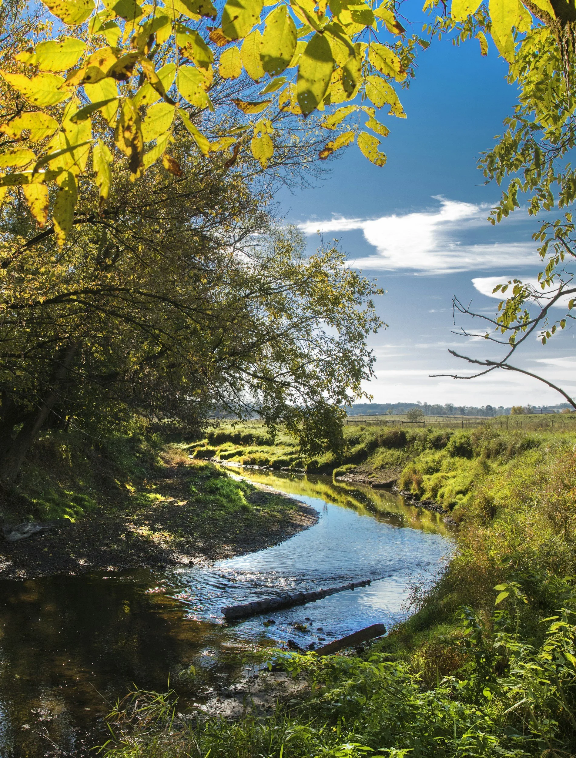 A clear stream of water flowing through a lush green landscape with trees on either side, under a bright blue sky with some white clouds.