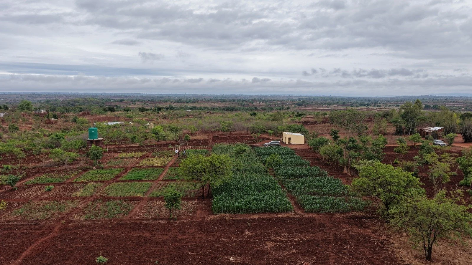 Aerial view of a farm with cultivated fields, trees, and small buildings under a cloudy sky.