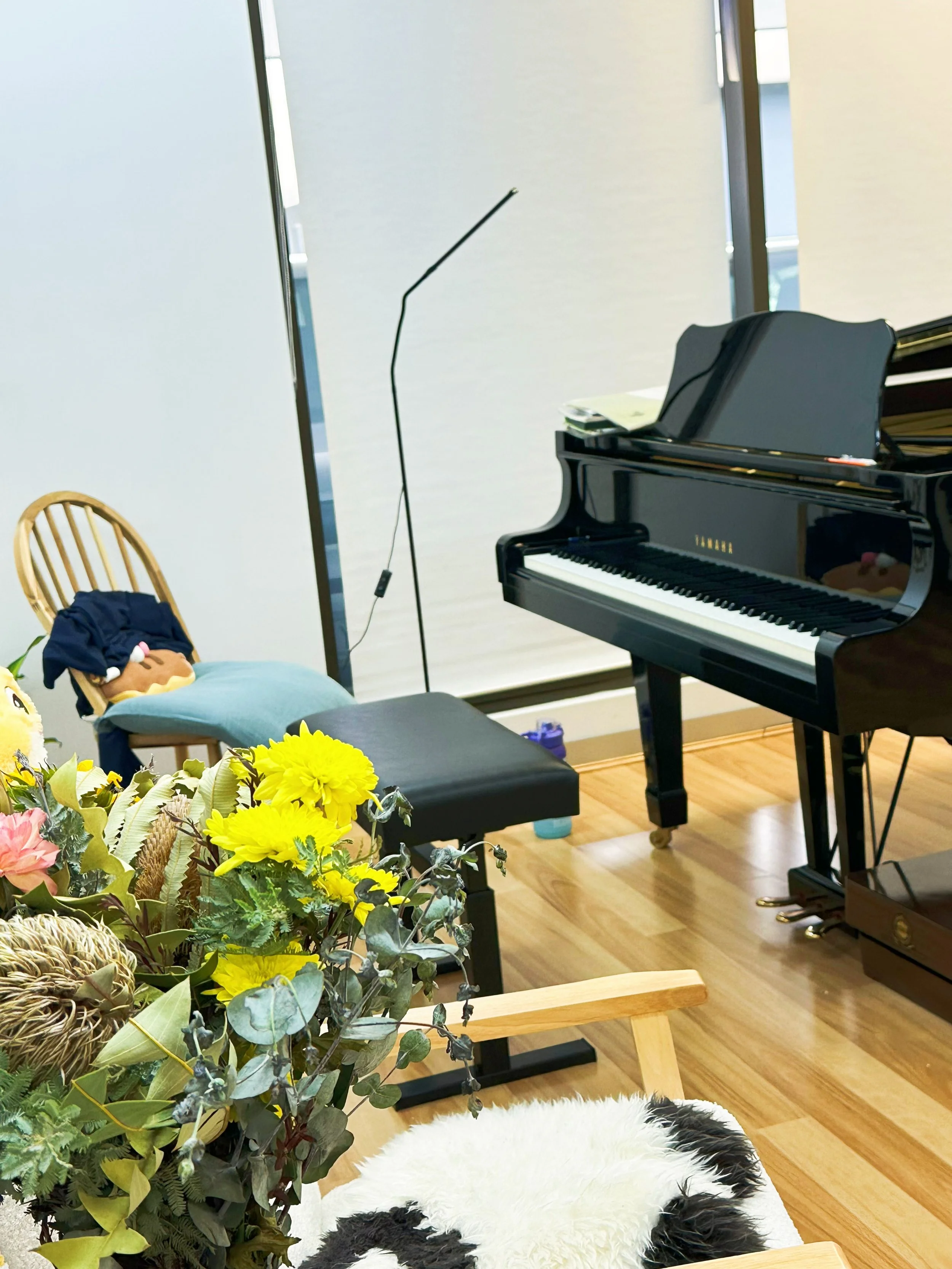 A black grand piano in a room with large windows, a microphone stand, a chair with a blue cushion and a plush taco pillow, colorful flowers in the foreground, and a fluffy black and white rug.