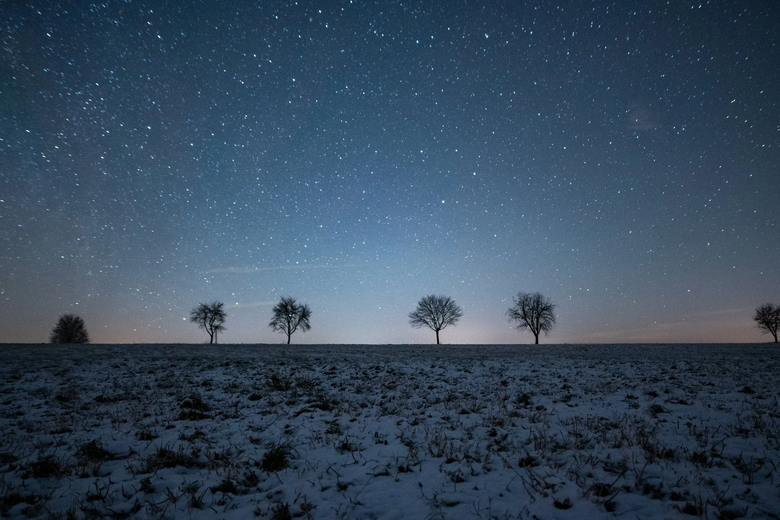 Night sky filled with stars over a landscape with several leafless trees and snow-covered ground.