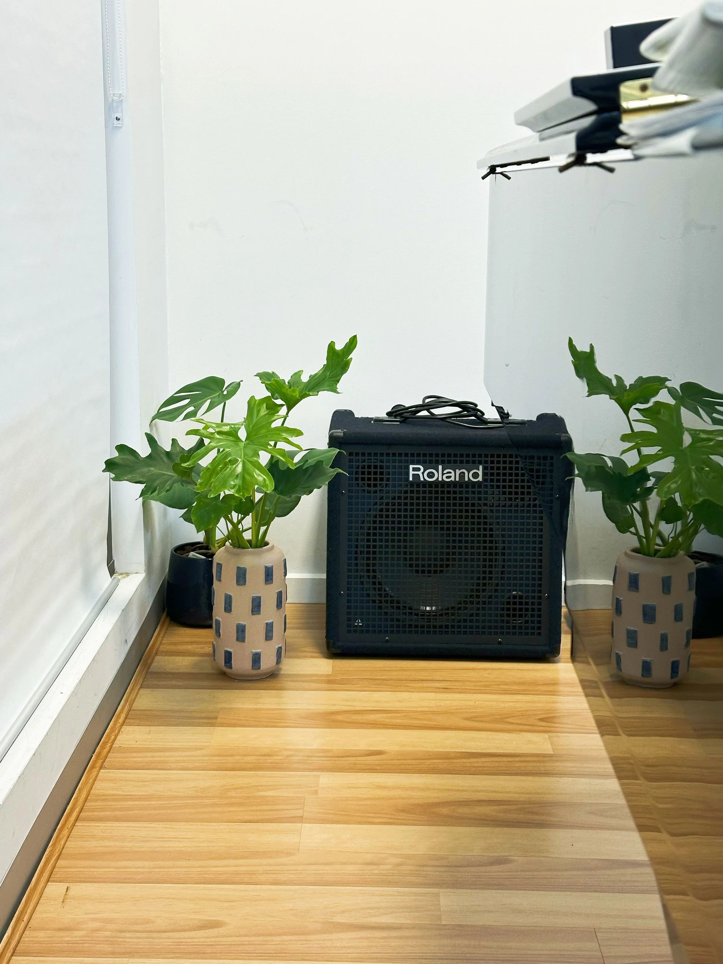 Indoor scene with a wooden floor, potted plants with large green leaves, a Roland amplifier, and a small black speaker.