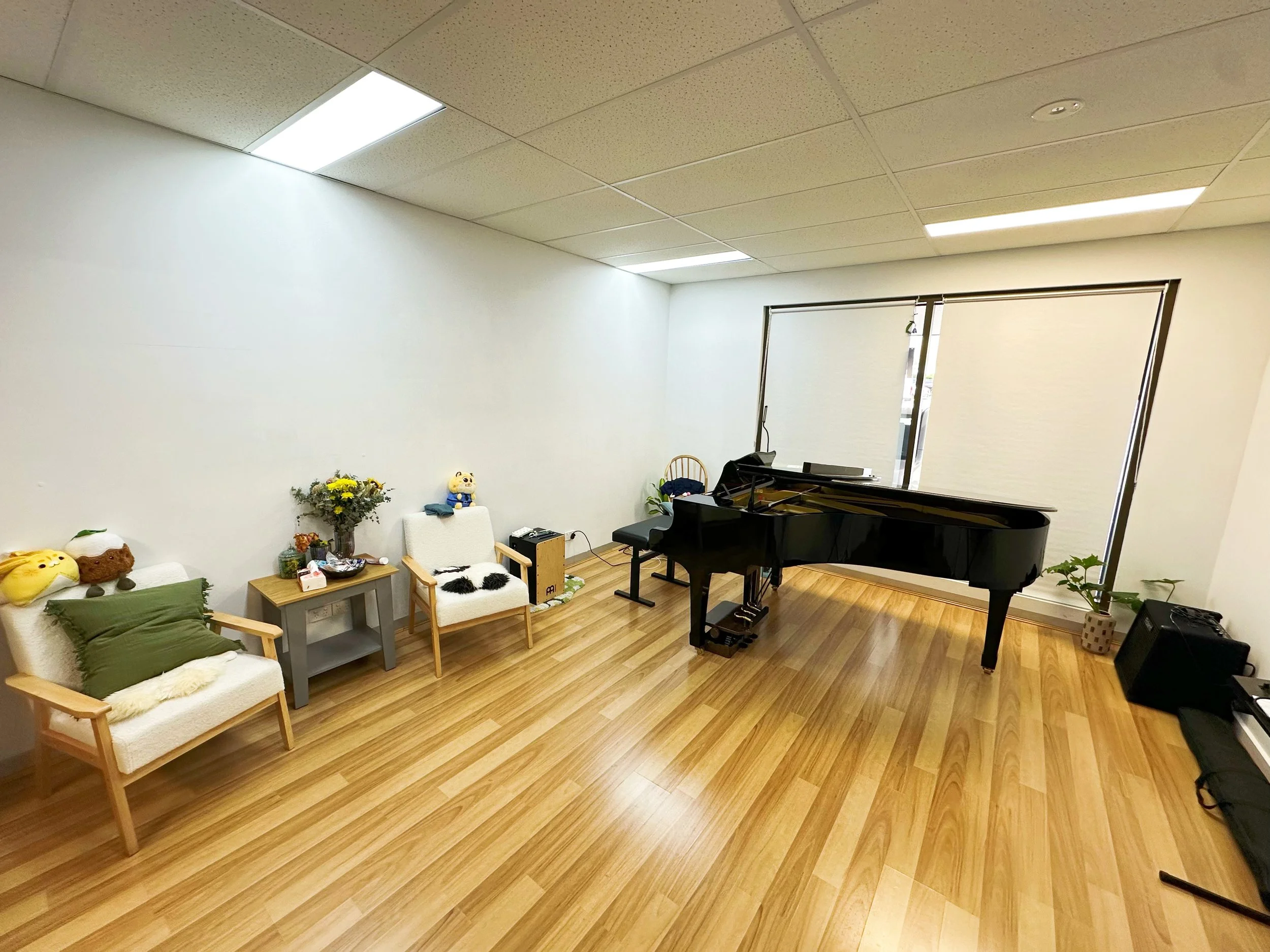 Room with a black grand piano, several chairs with plush toys, plants, and a window with a roller blind.